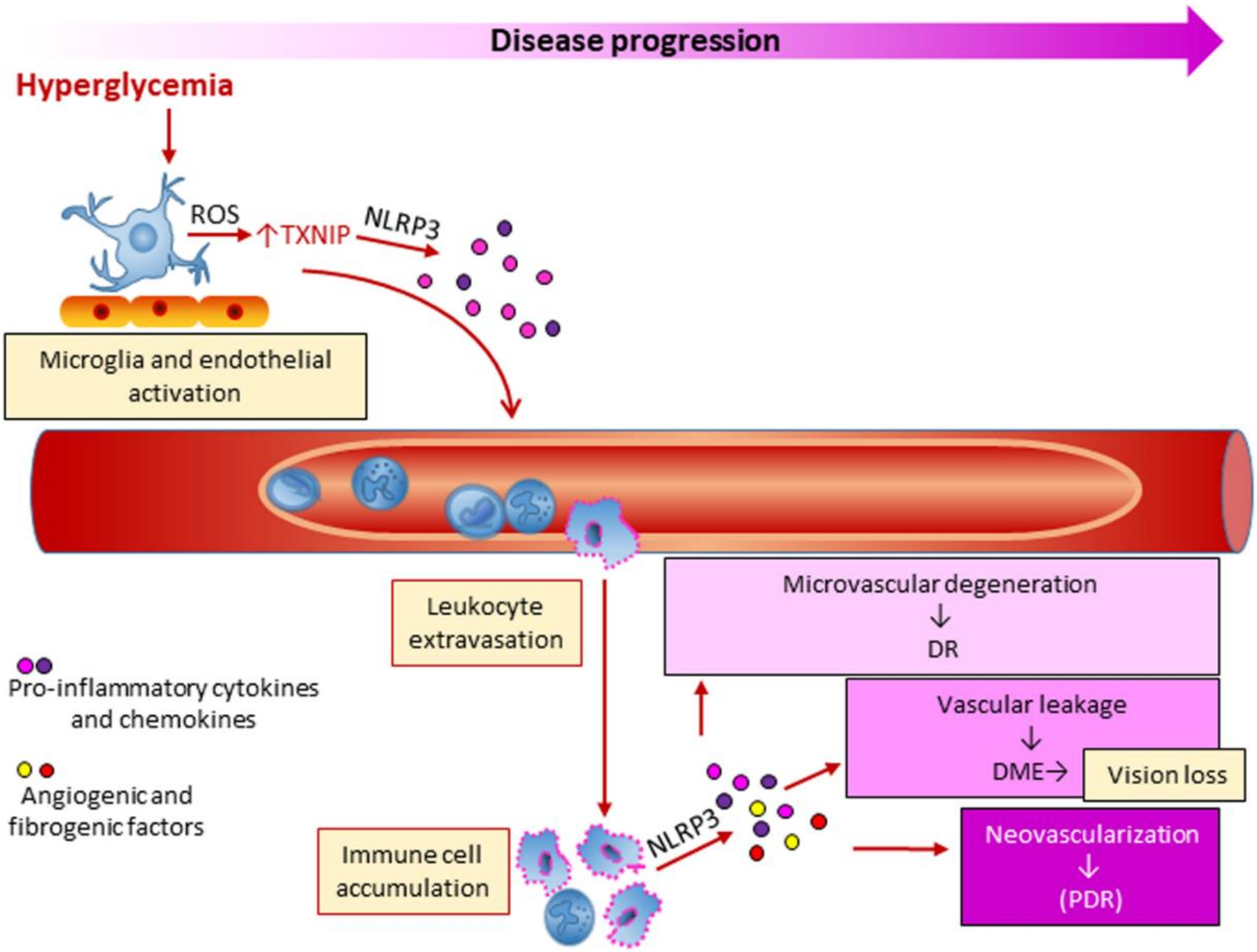 Cells 09 01812 g005 Cells 09 01812 g005