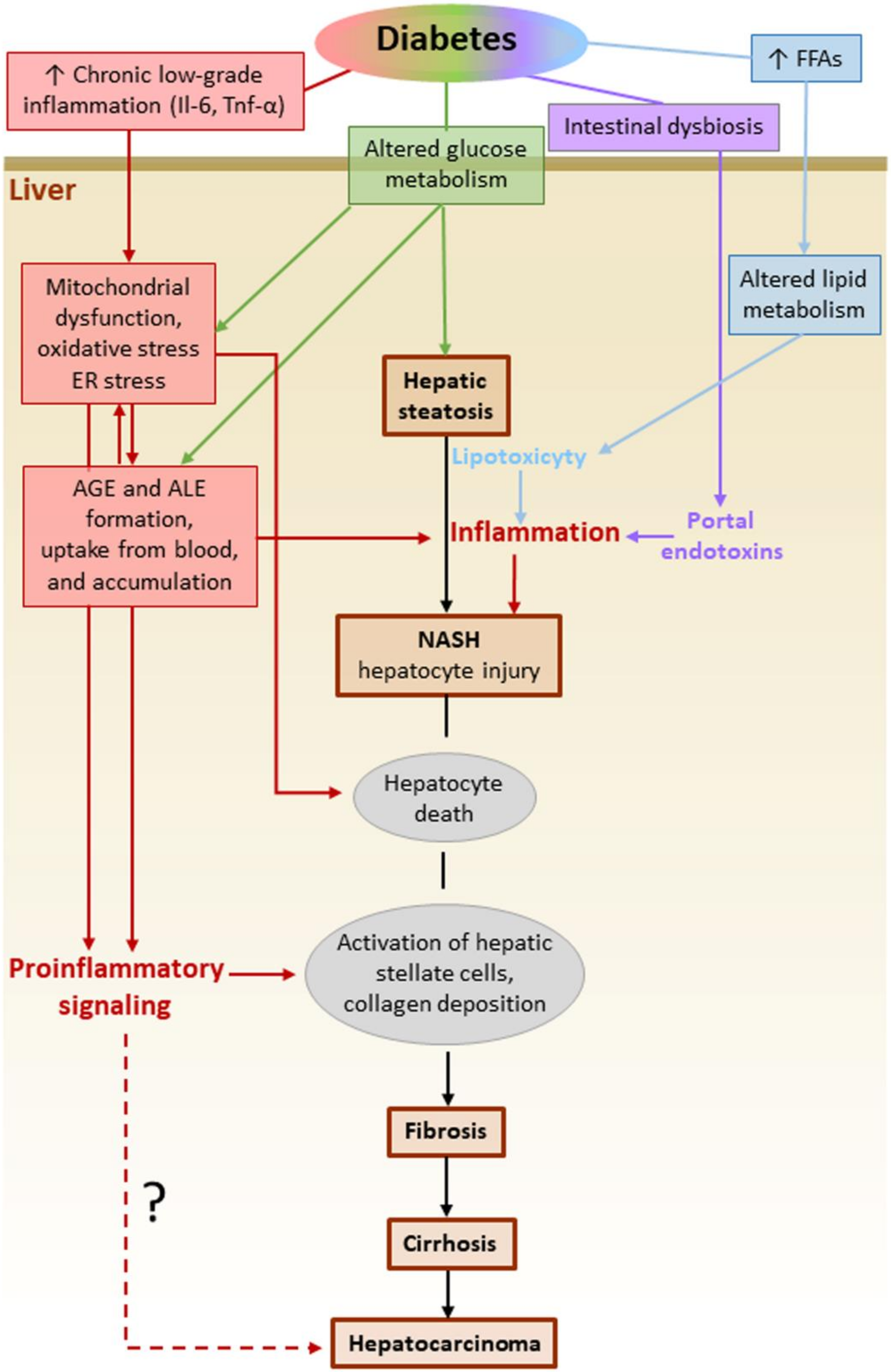 Cells 09 01812 g006 Cells 09 01812 g006