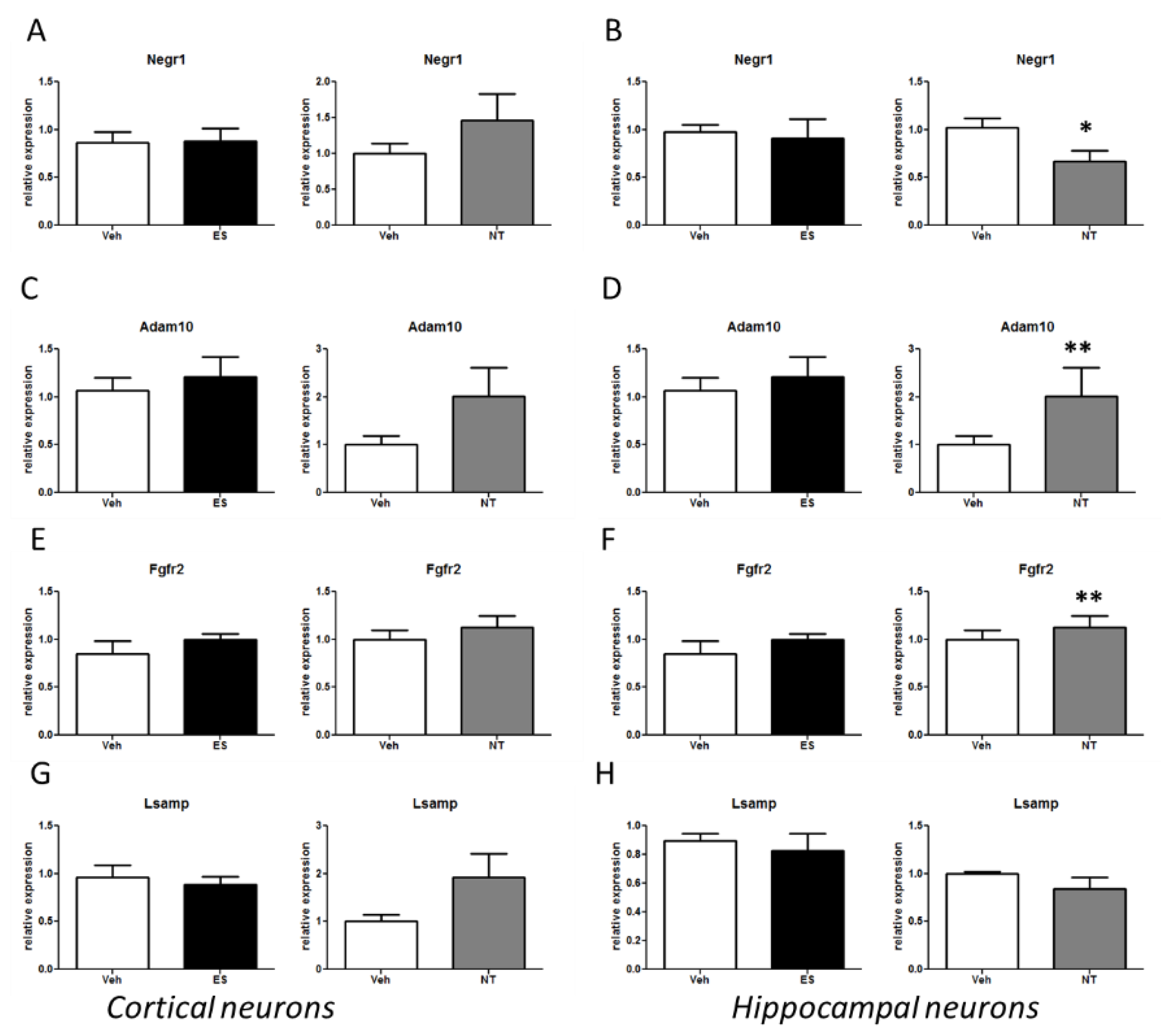 Cells 09 01818 g005 Cells 09 01818 g005