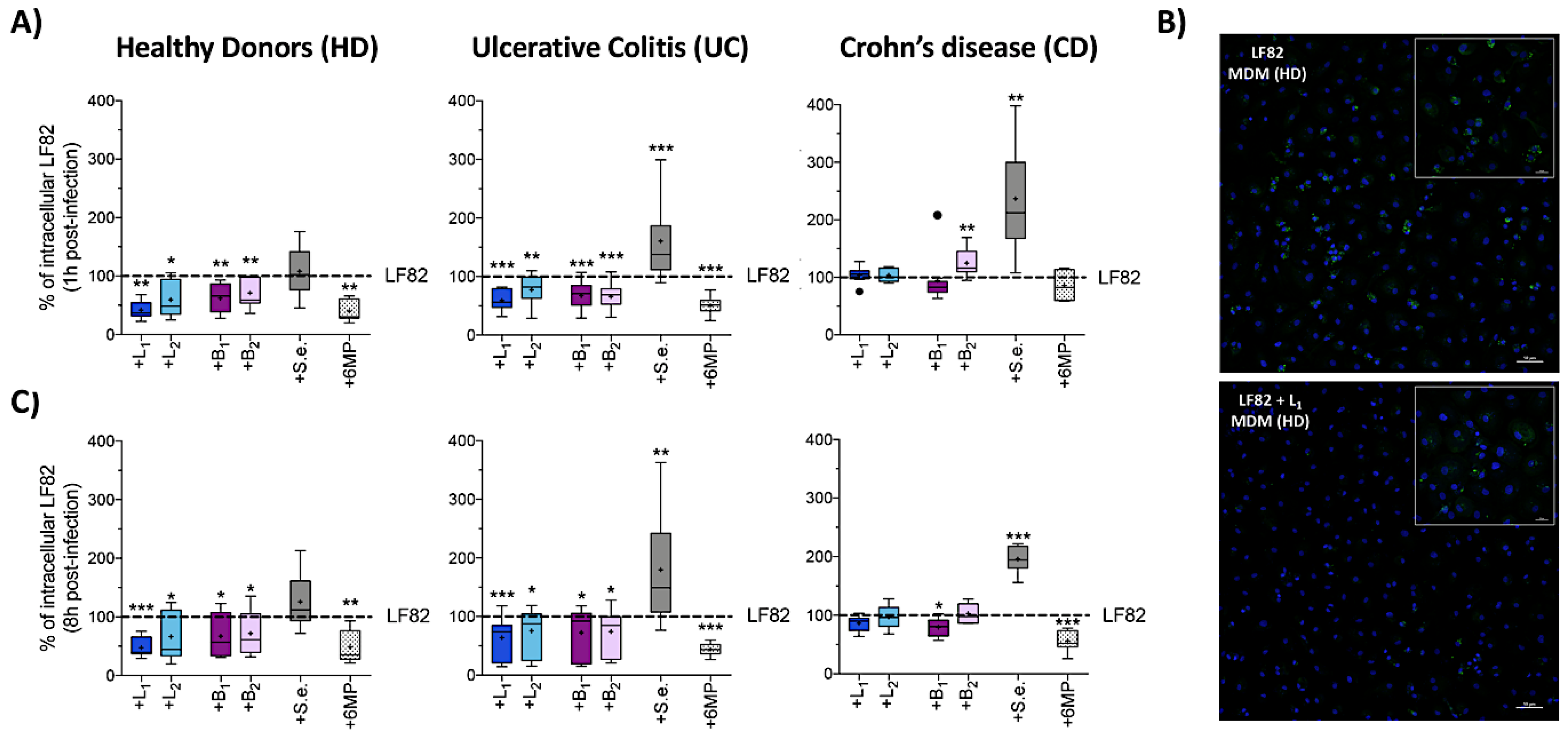 Cells 09 01824 g002 Cells 09 01824 g002