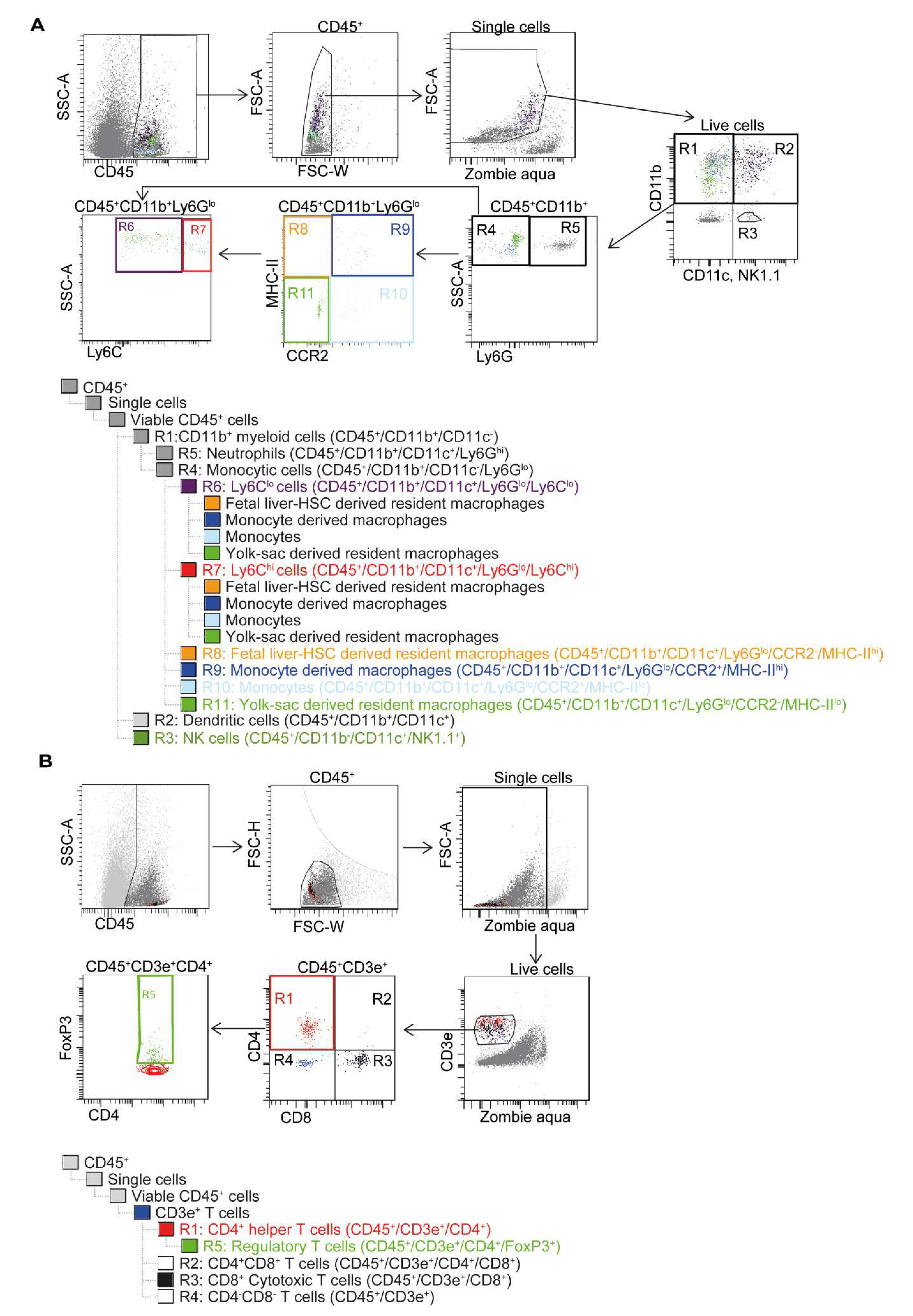 Cells 09 01825 g001