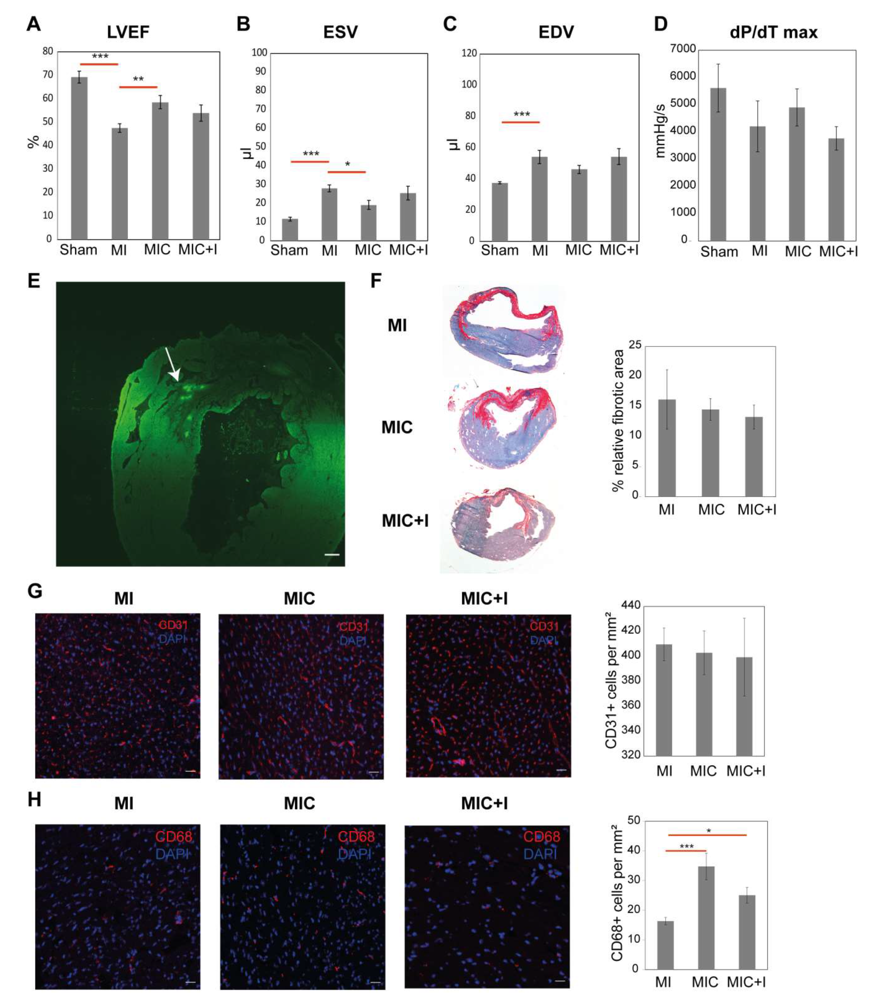 Cells 09 01825 g003