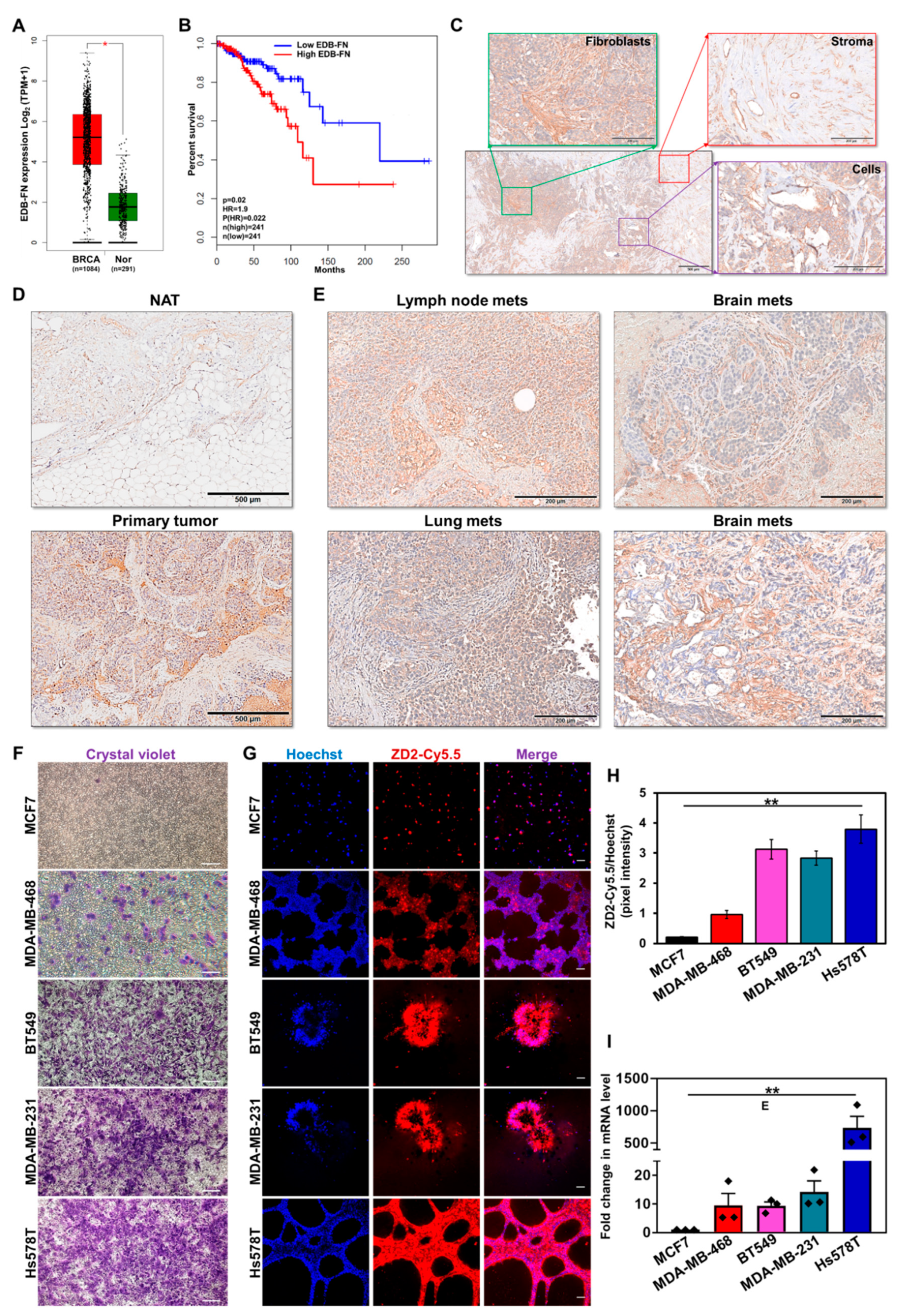 Cells 09 01826 g001 Cells 09 01826 g001
