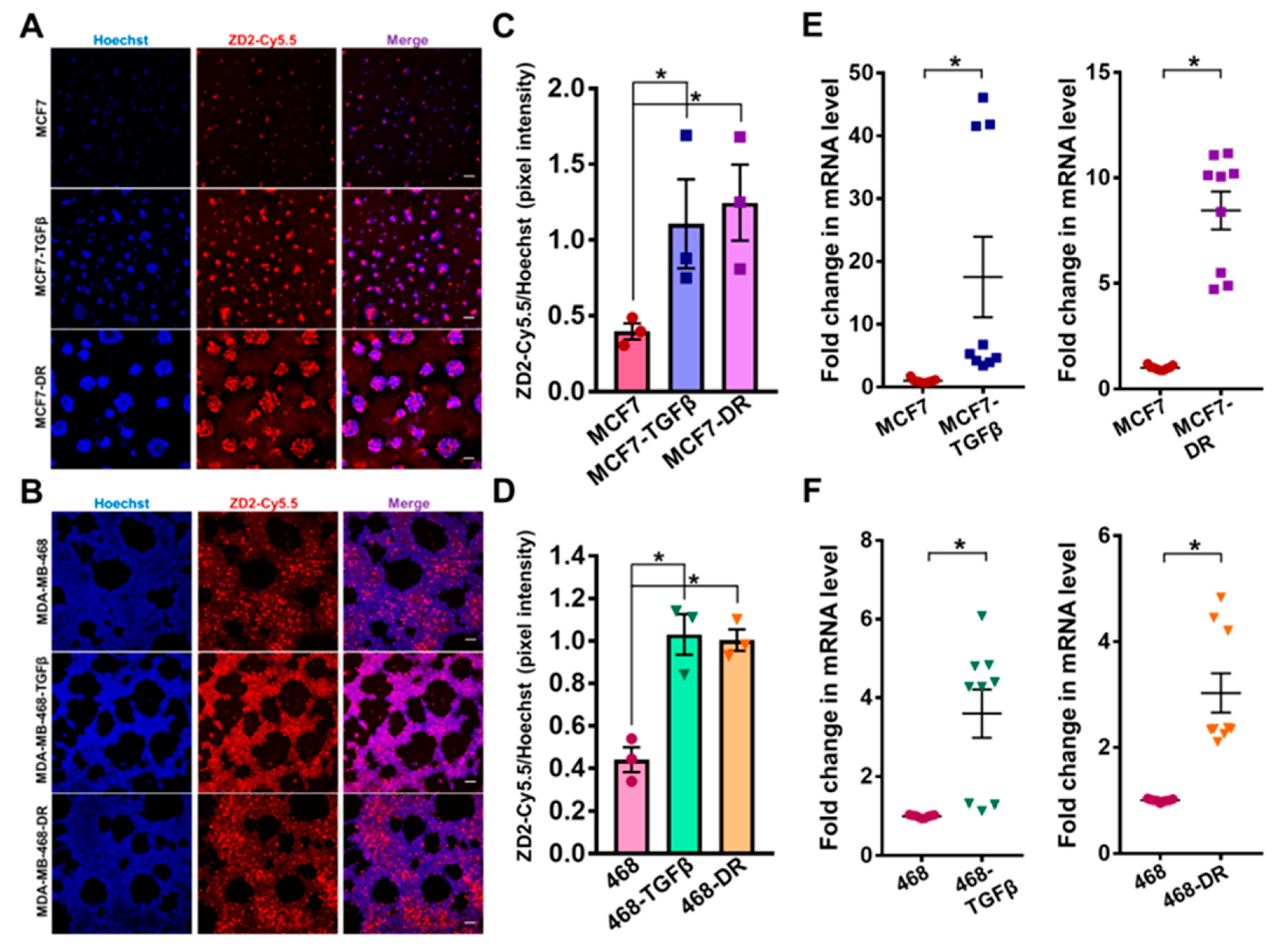 Cells 09 01826 g003 Cells 09 01826 g003