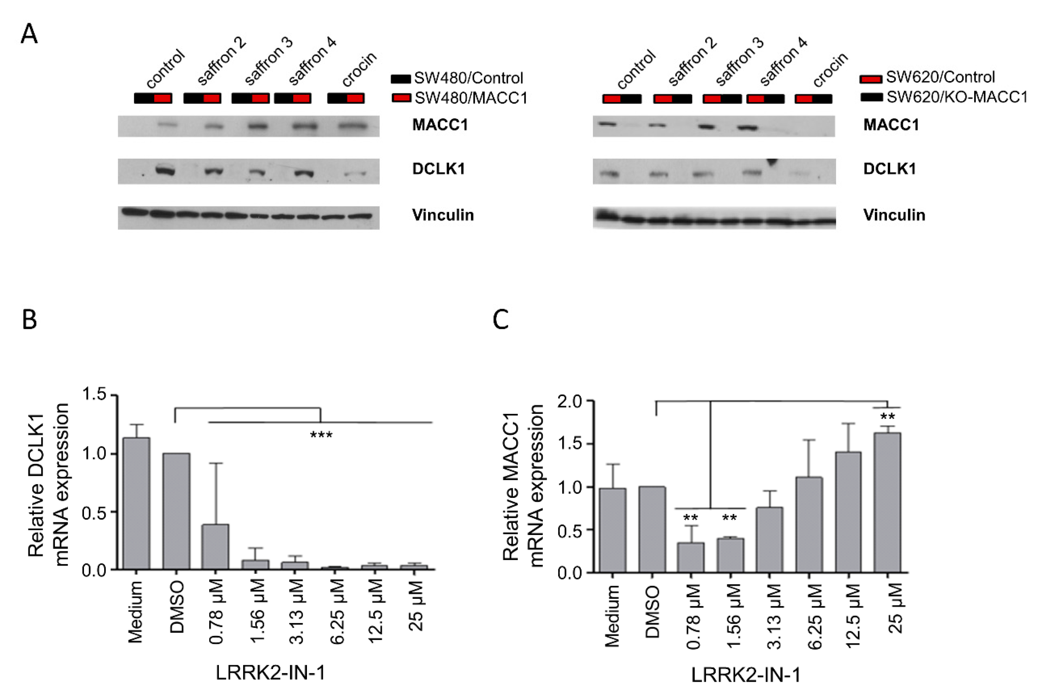Cells 09 01829 g006