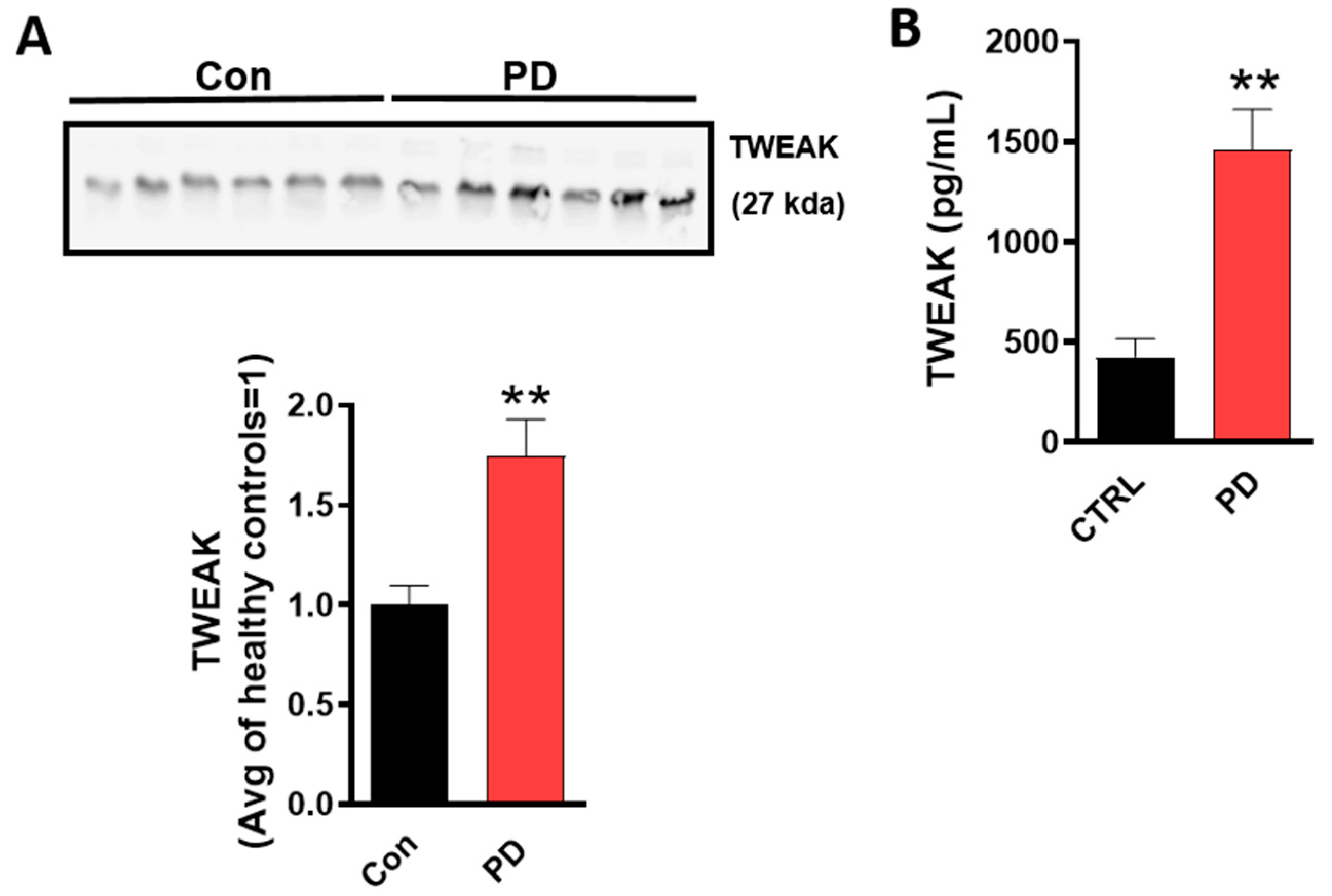 Cells 09 01831 g001 Cells 09 01831 g001