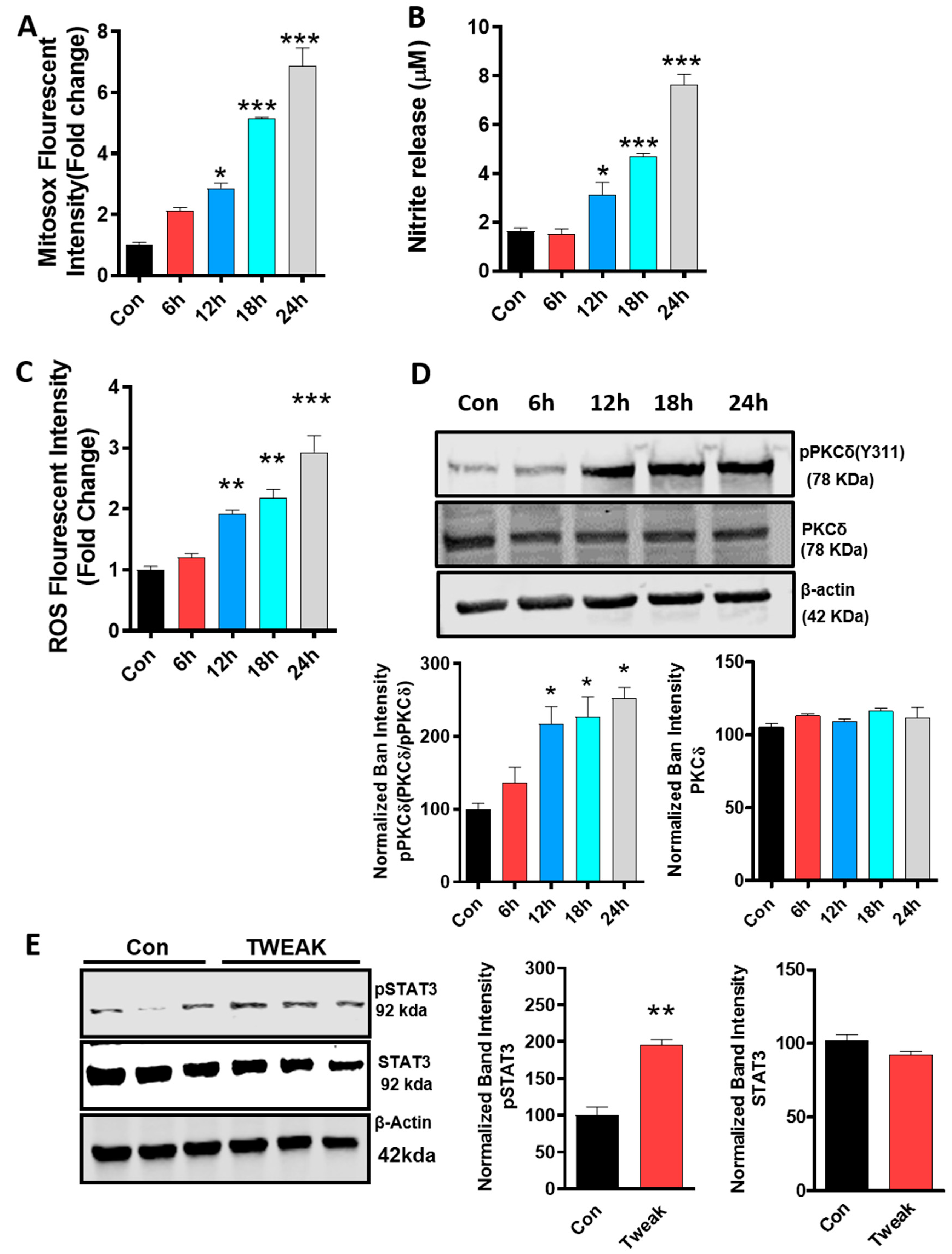 Cells 09 01831 g002a Cells 09 01831 g002a