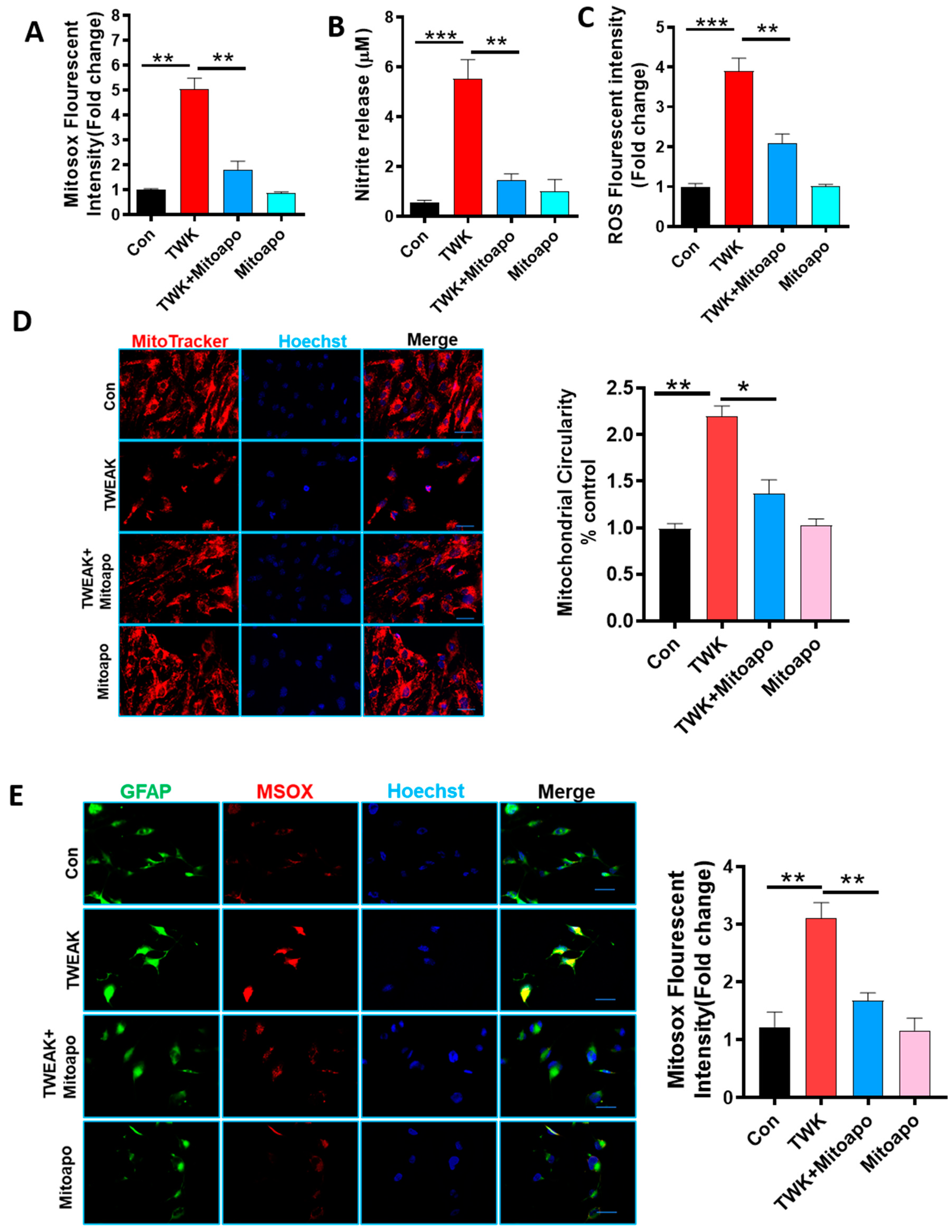 Cells 09 01831 g005a Cells 09 01831 g005a