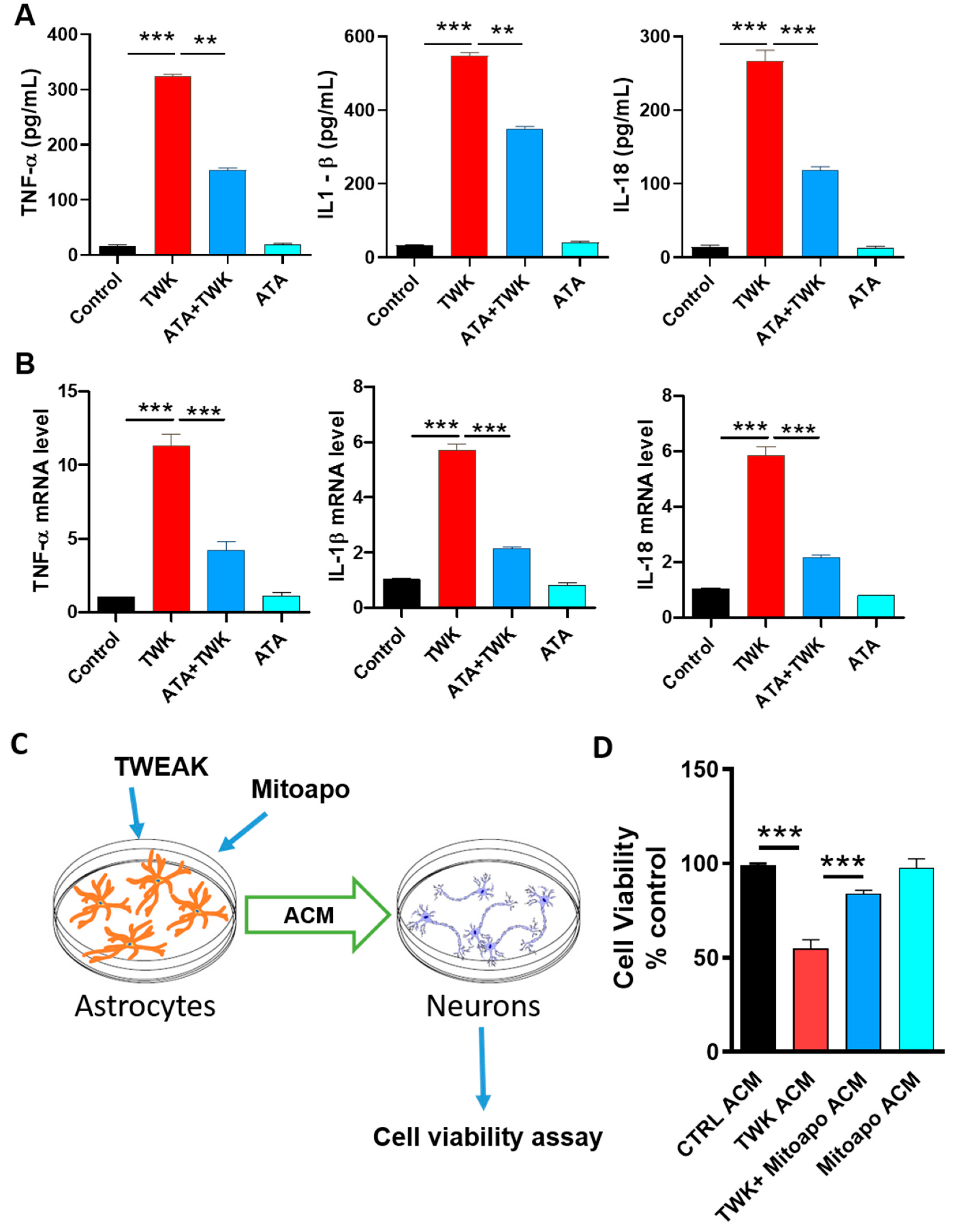 Cells 09 01831 g006 Cells 09 01831 g006