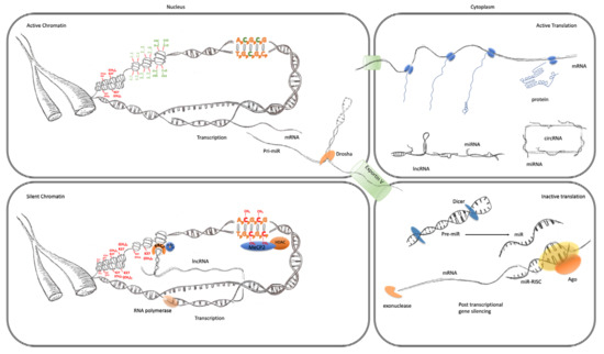 Epigenomic Dysregulation in Schizophrenia: In Search of Epigenomic Dysregulation in Schizophrenia: In Search of