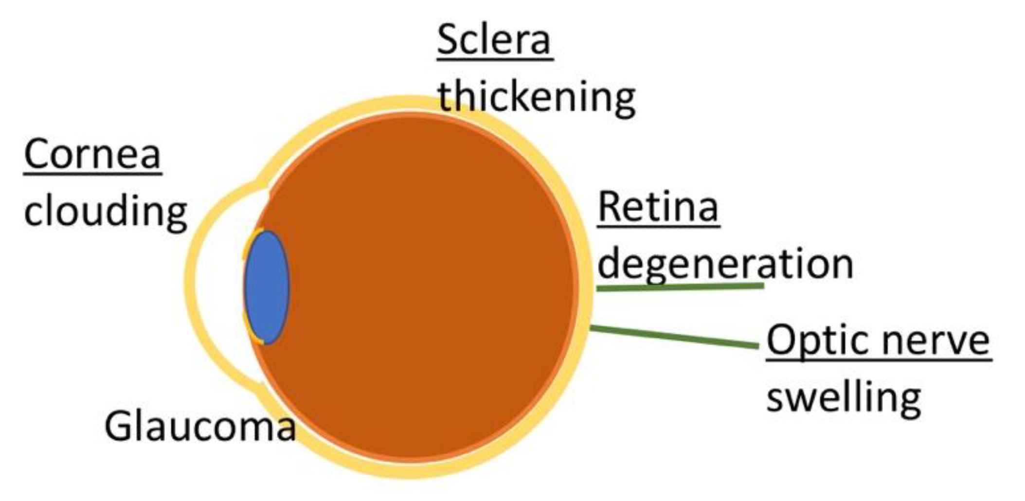 Cells 09 01838 g003 Cells 09 01838 g003