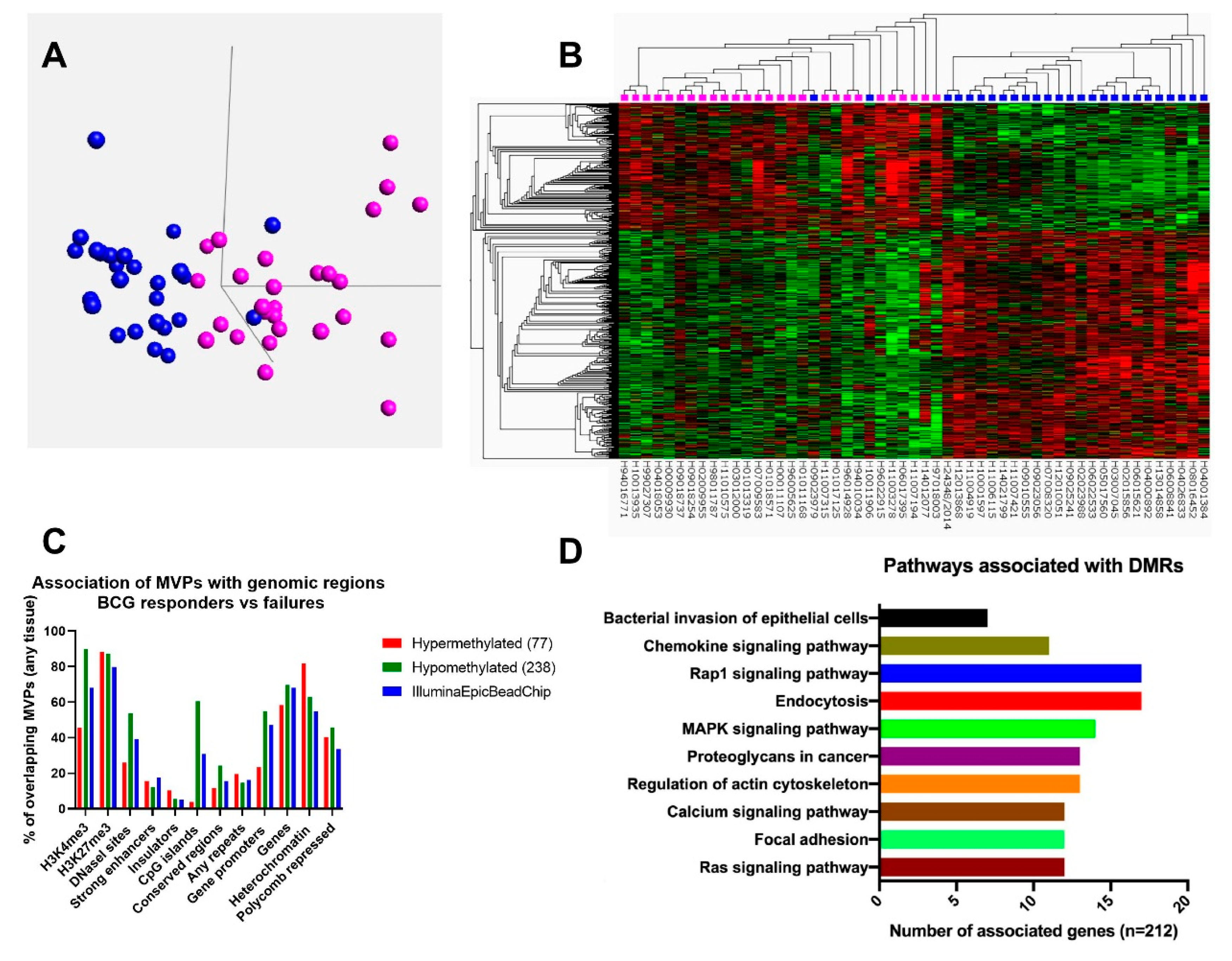 Cells 09 01839 g001 Cells 09 01839 g001