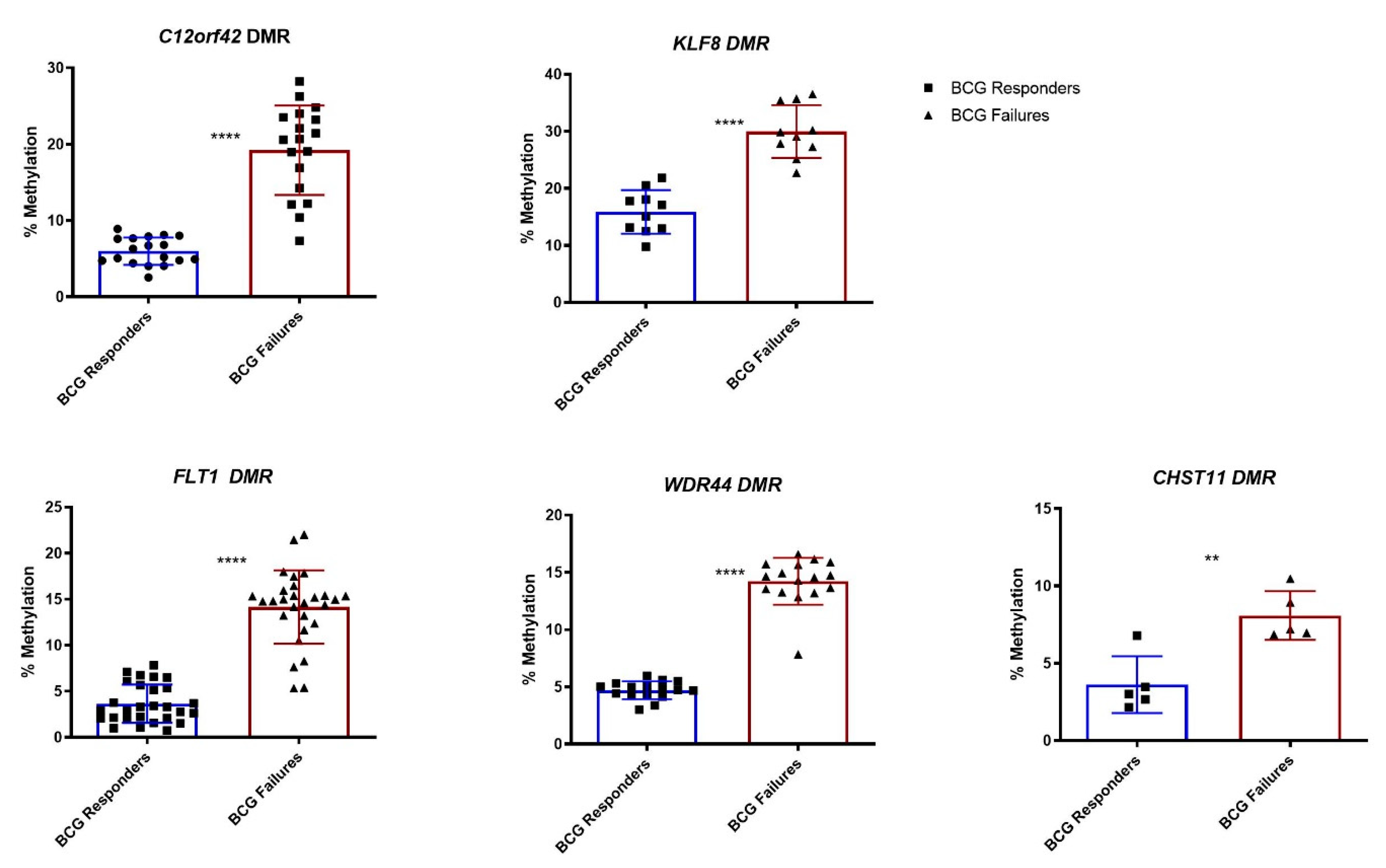 Cells 09 01839 g004 Cells 09 01839 g004