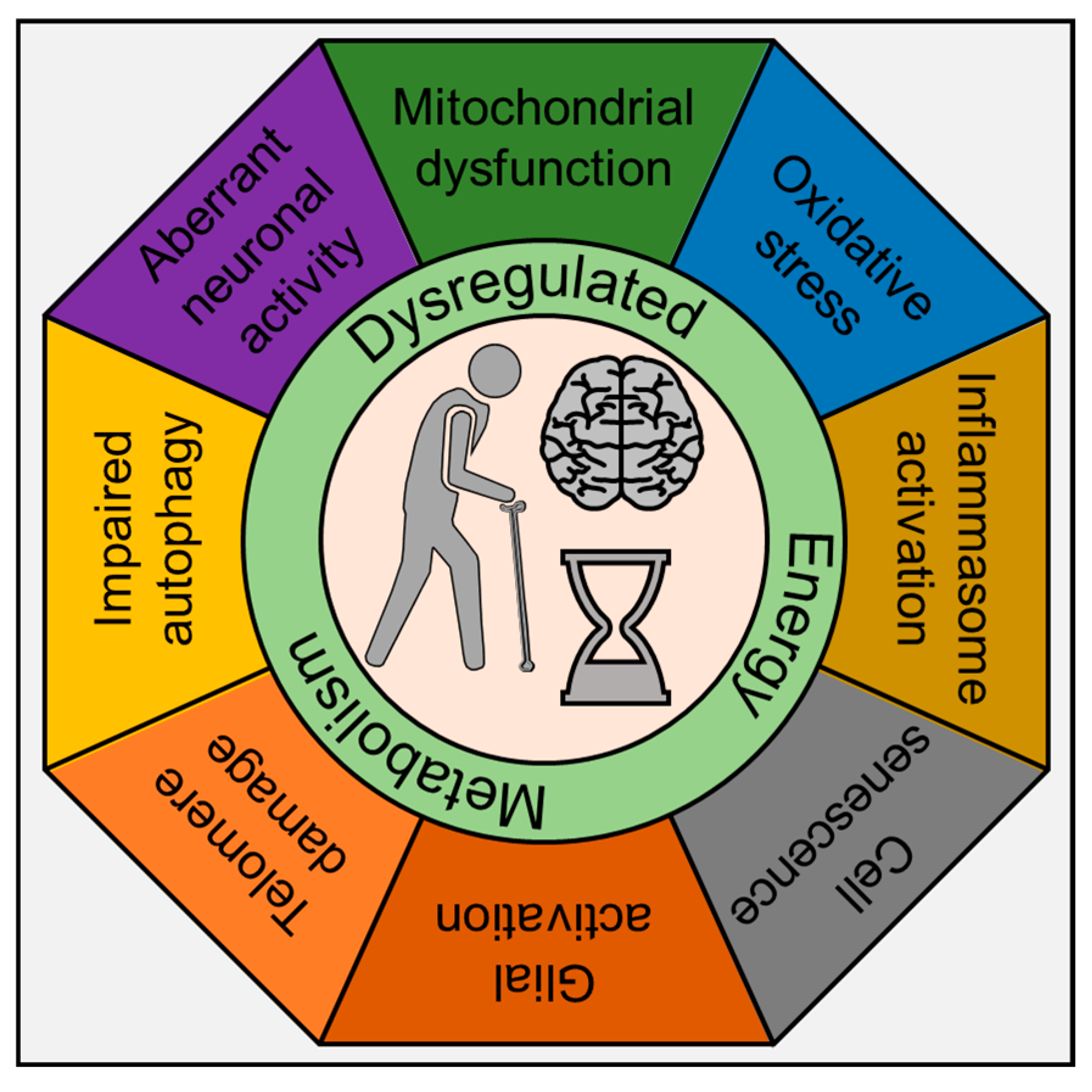 Cells 09 01857 g001 Cells 09 01857 g001