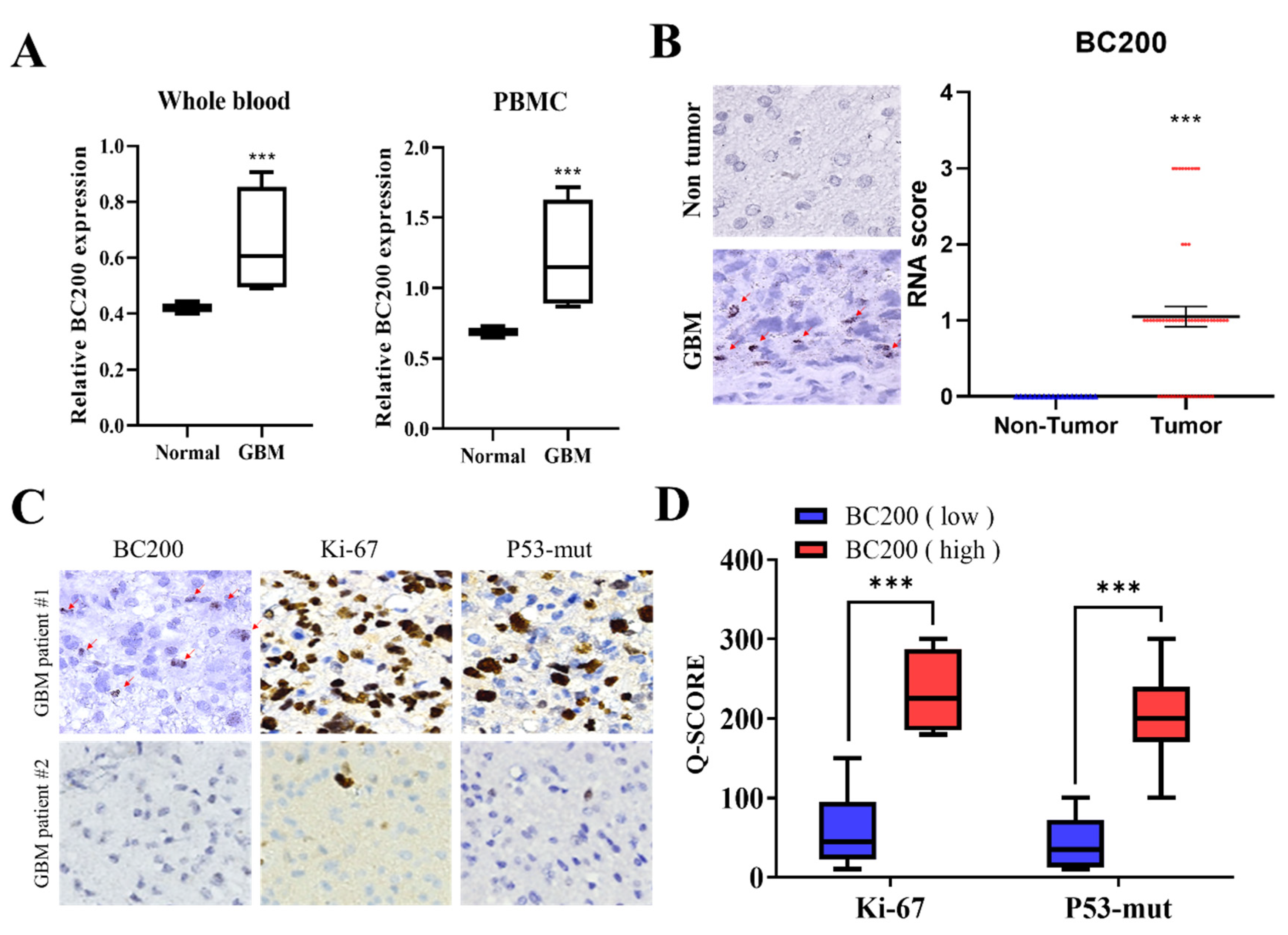 Cells 09 01859 g001 Cells 09 01859 g001