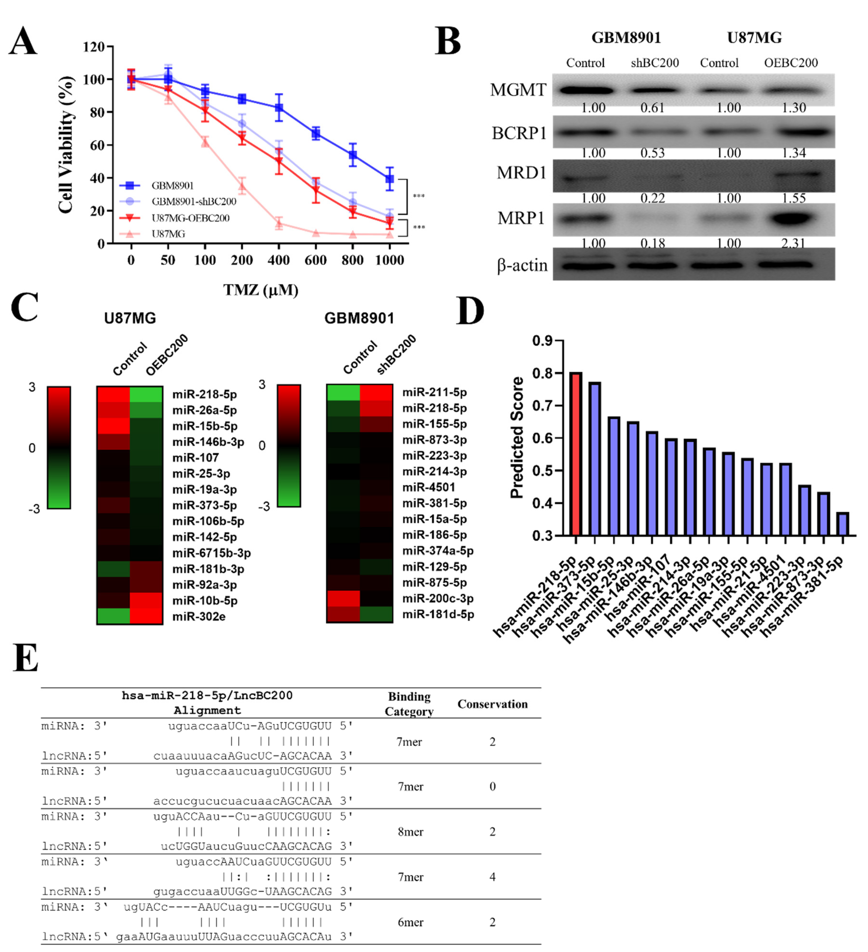 Cells 09 01859 g005 Cells 09 01859 g005