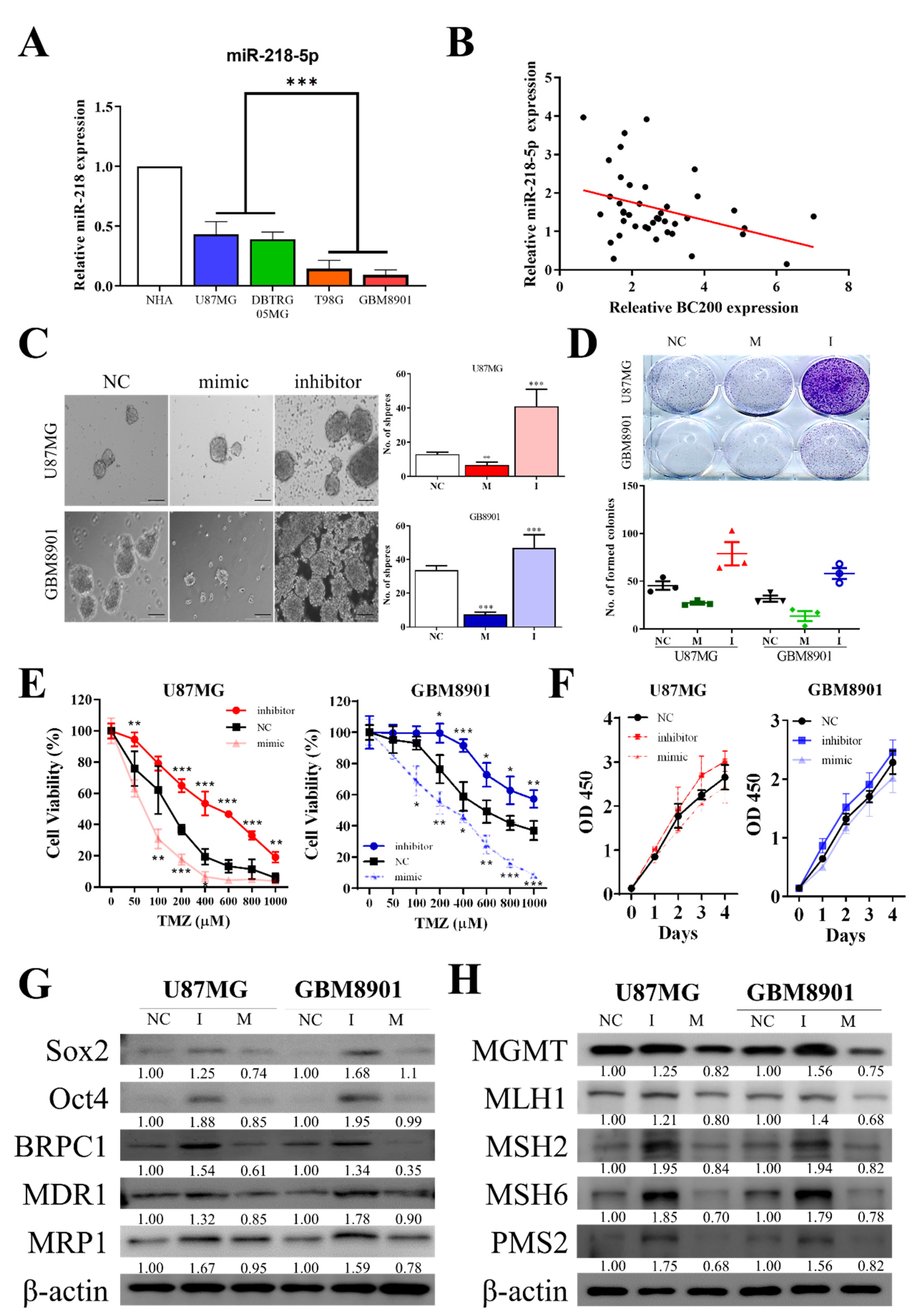 Cells 09 01859 g006 Cells 09 01859 g006