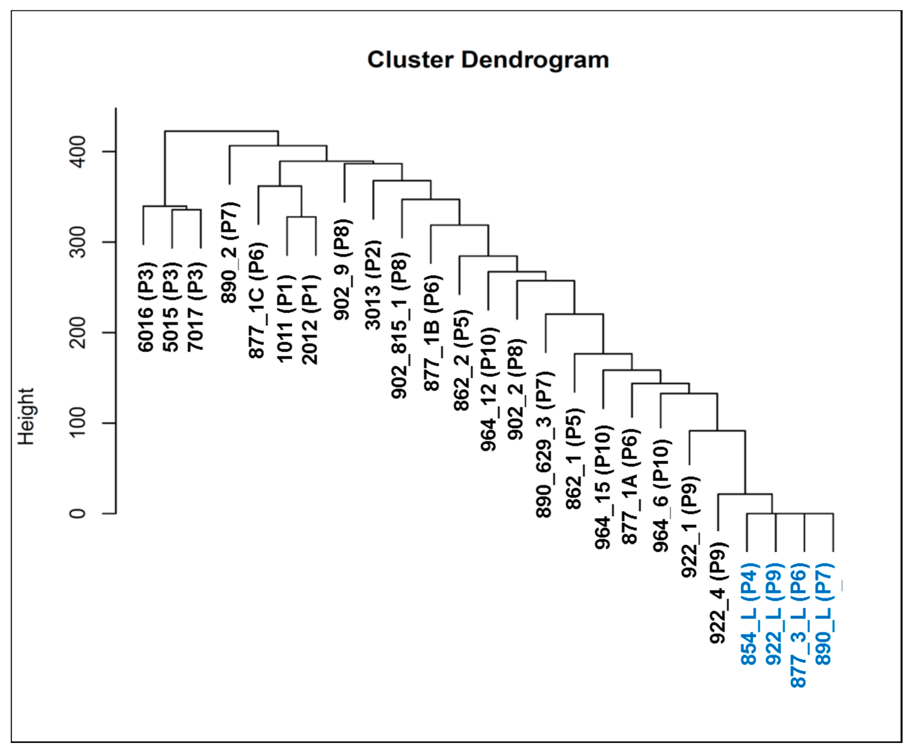 Cells 09 01863 g004 Cells 09 01863 g004