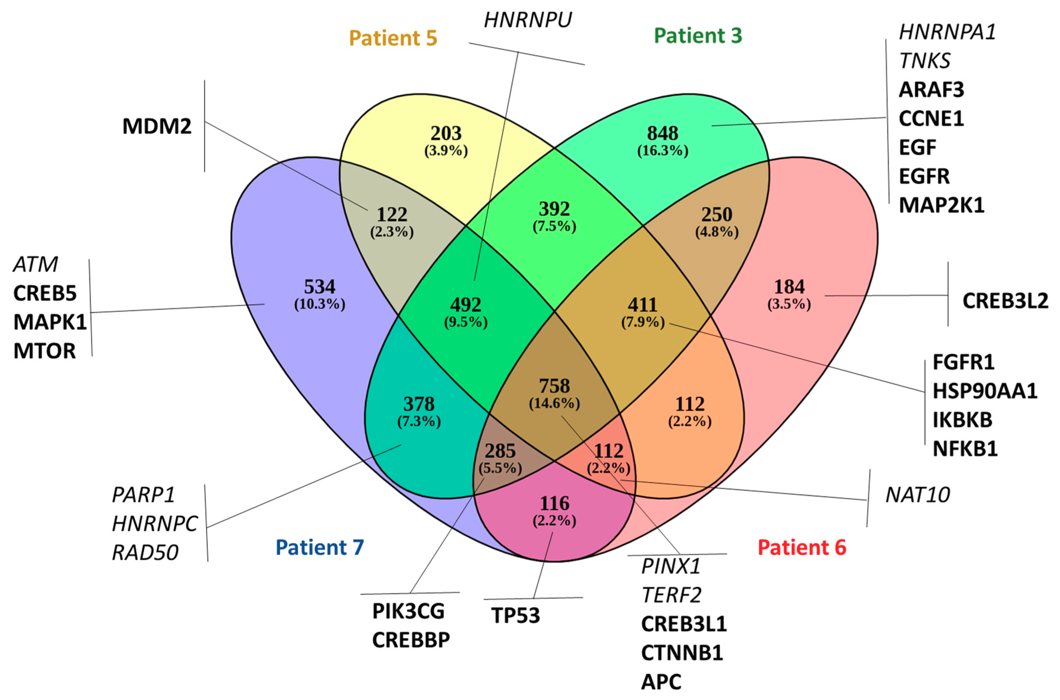 Cells 09 01863 g005 Cells 09 01863 g005