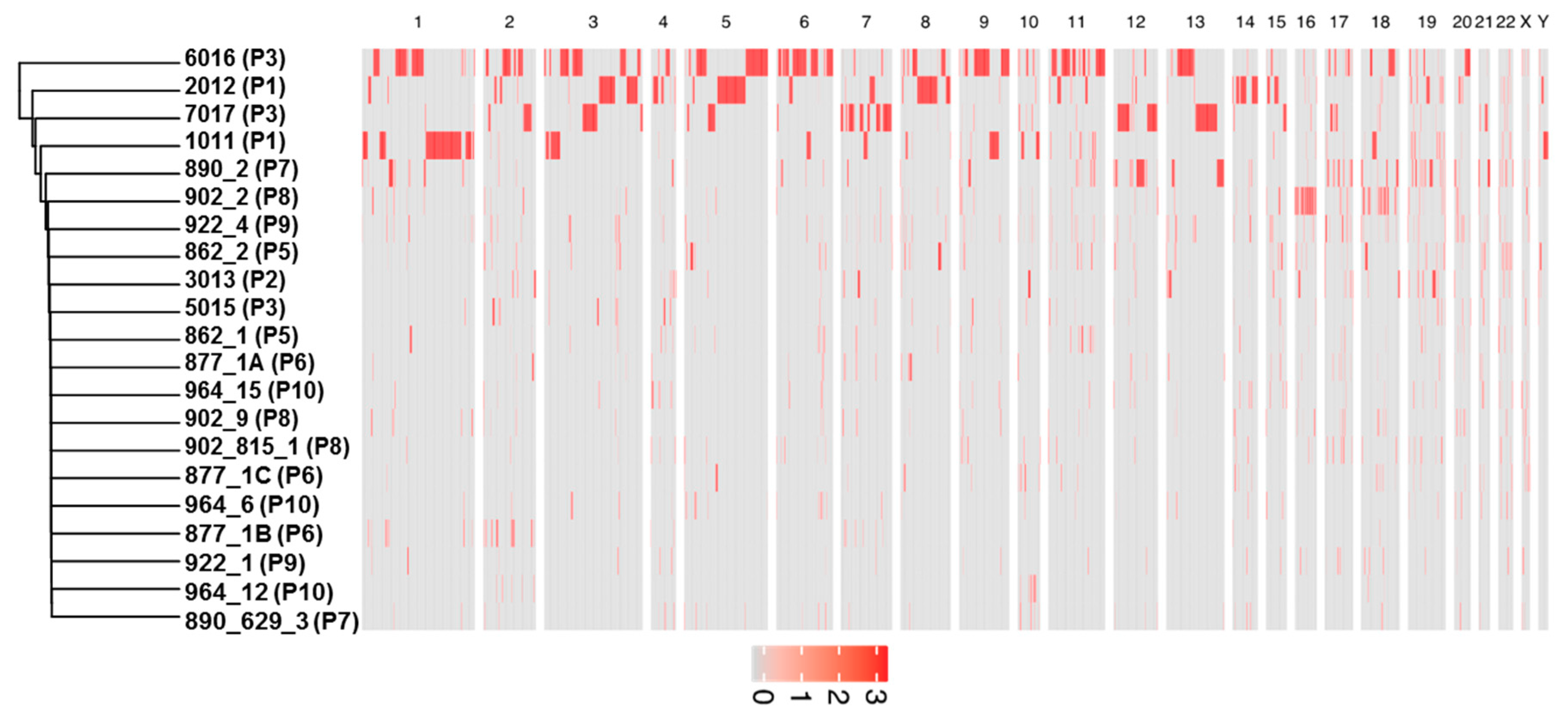 Cells 09 01863 g007 Cells 09 01863 g007