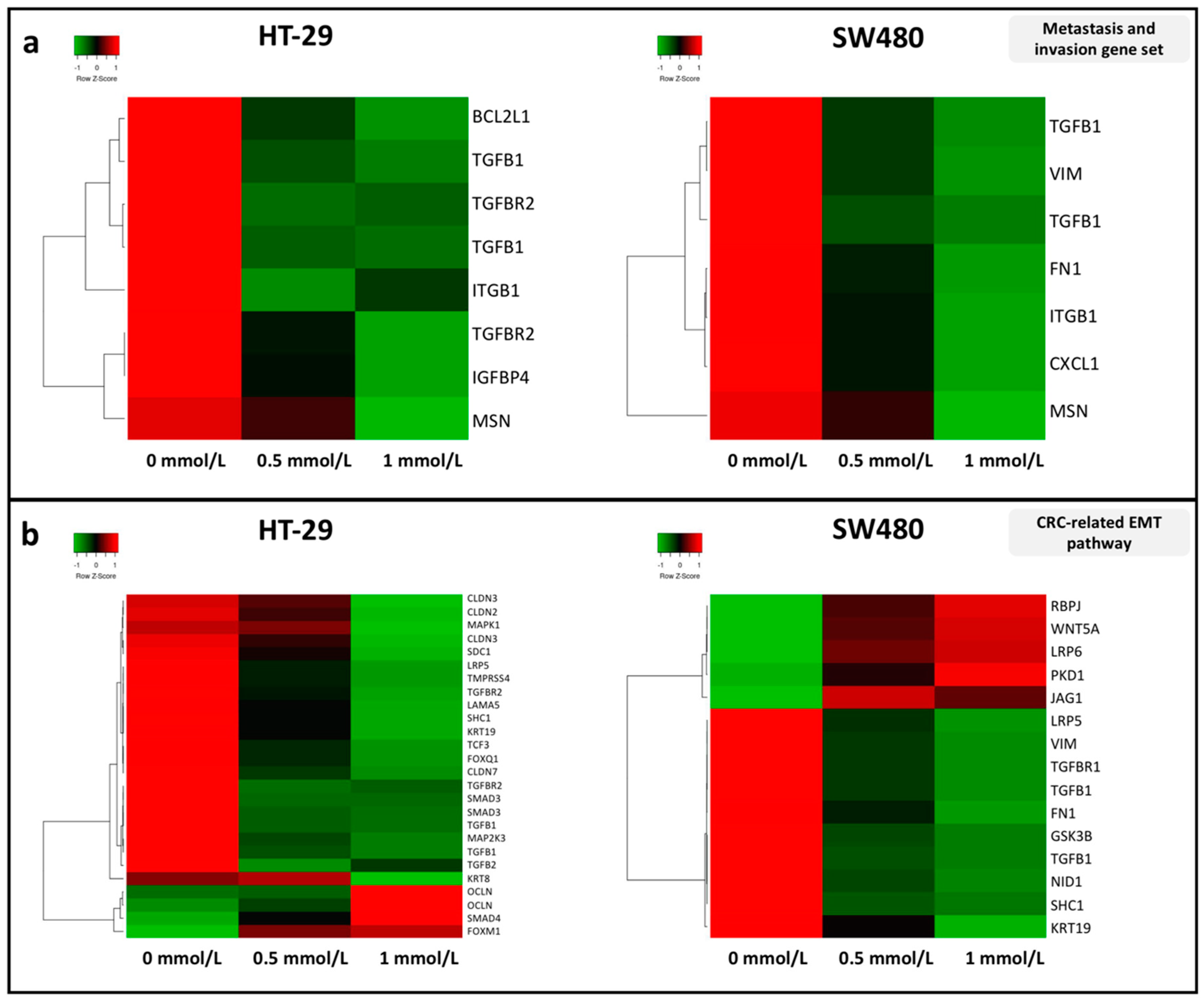 Cells 09 01864 g002 Cells 09 01864 g002