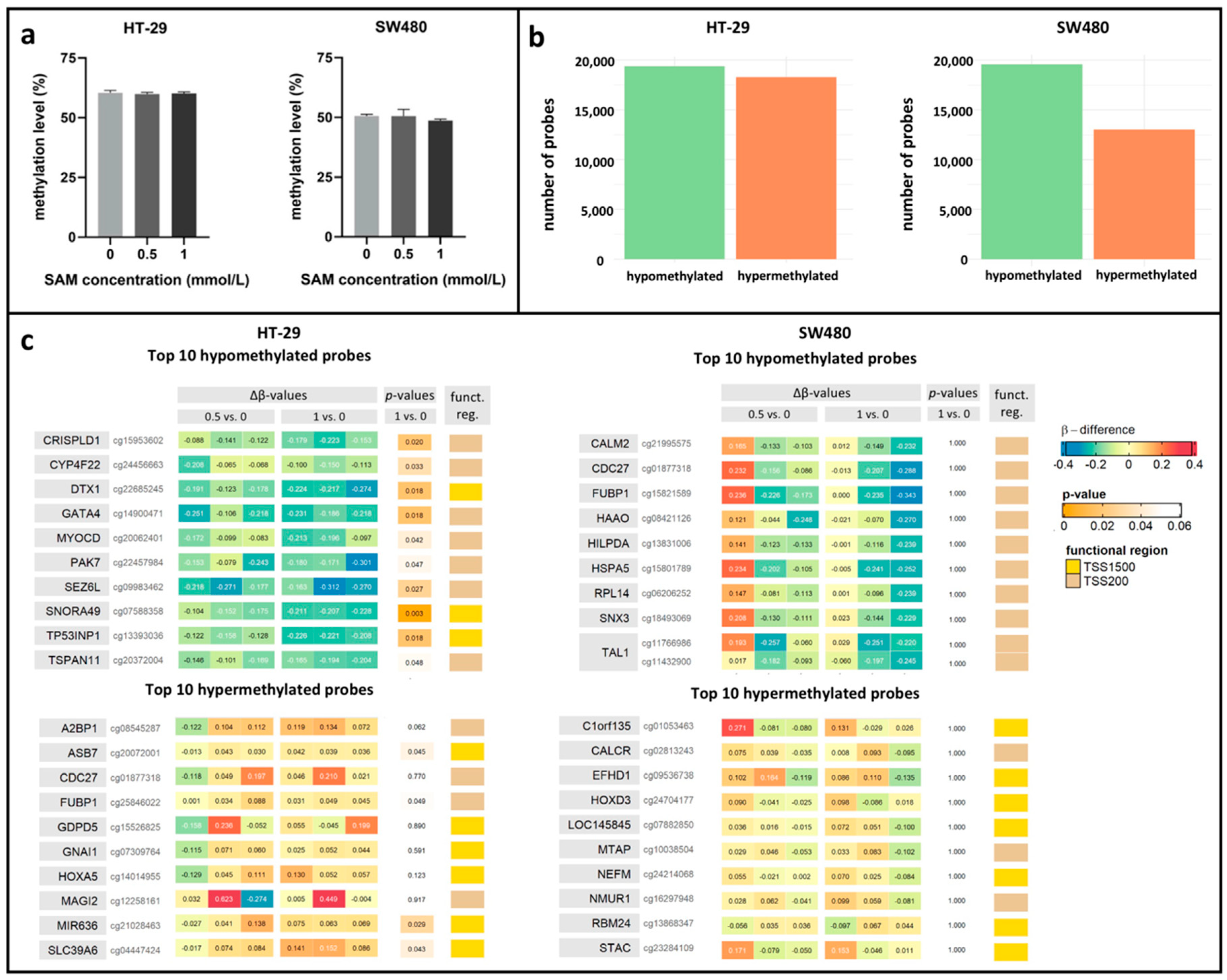 Cells 09 01864 g003 Cells 09 01864 g003
