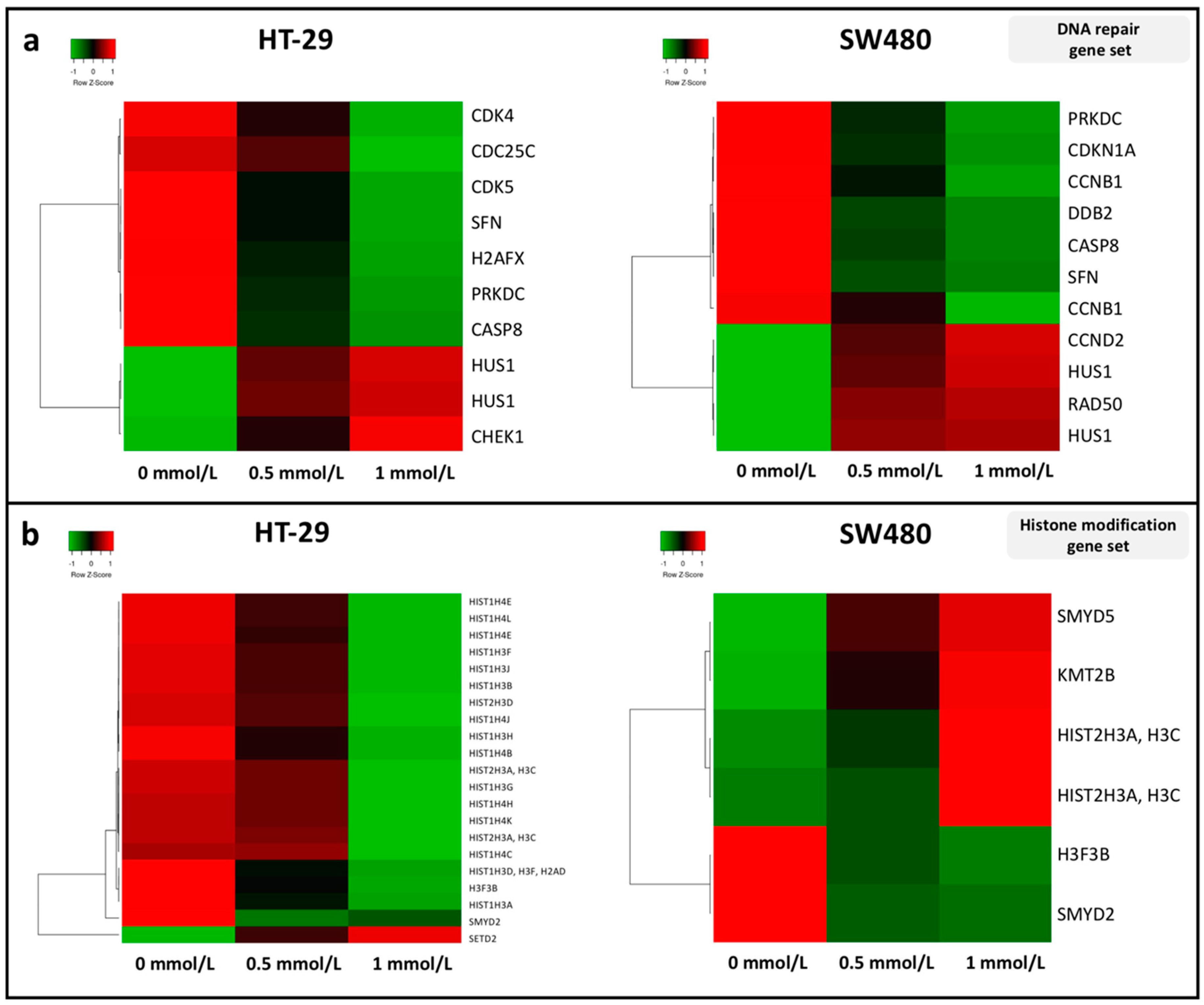 Cells 09 01864 g005 Cells 09 01864 g005