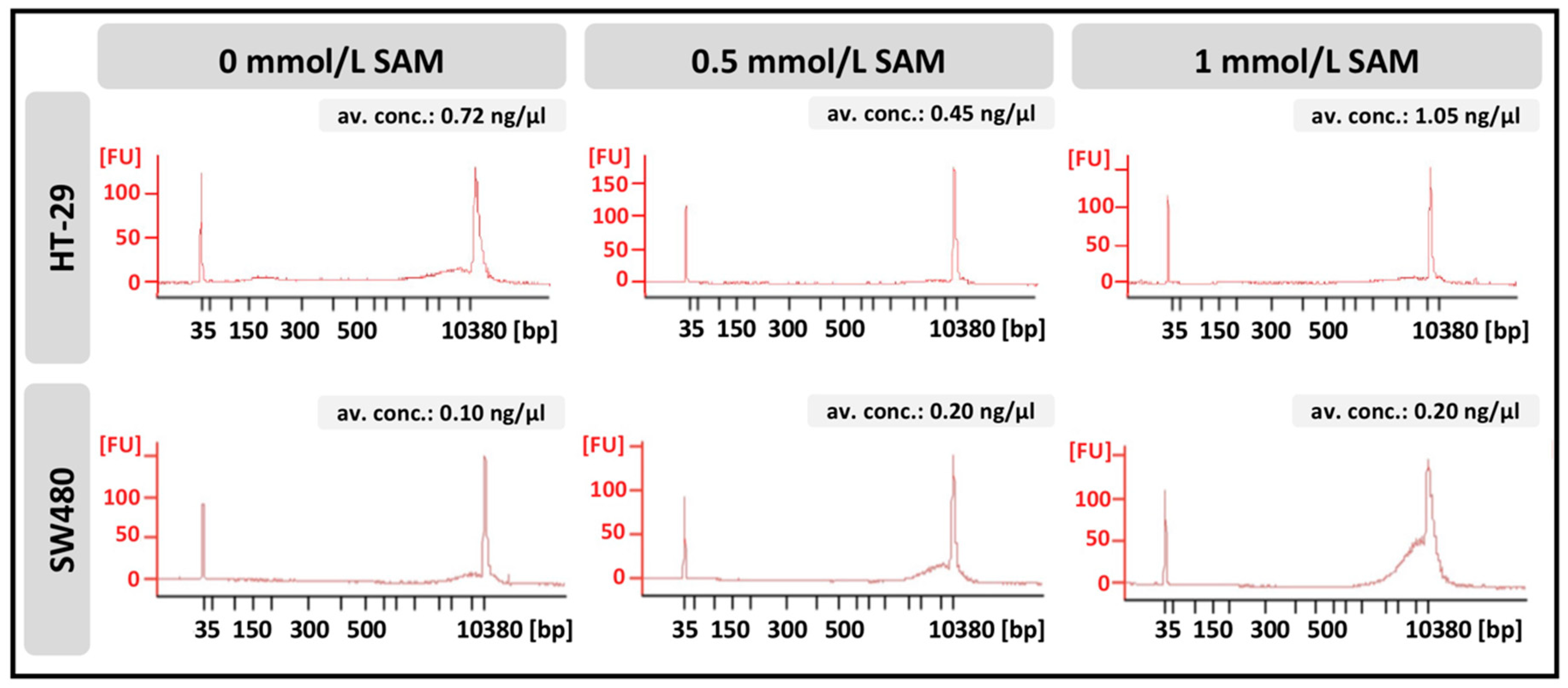 Cells 09 01864 g006 Cells 09 01864 g006
