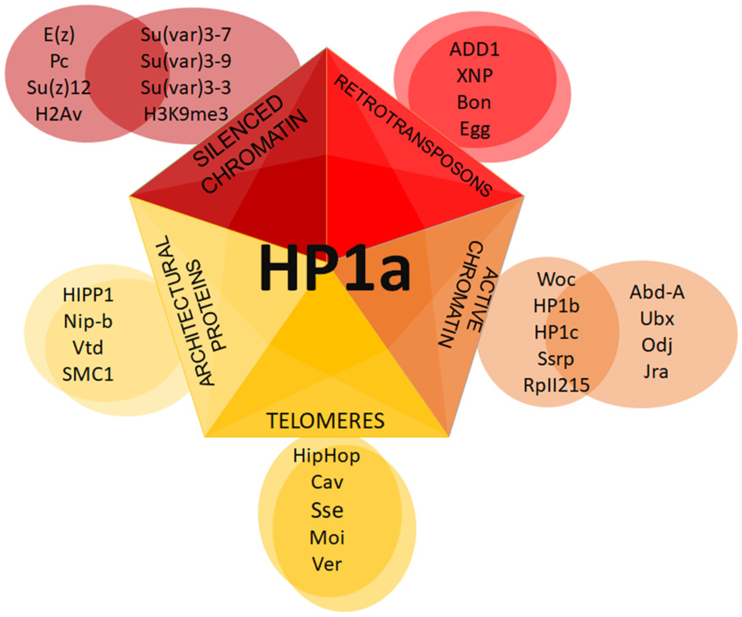 Cells 09 01866 g007 Cells 09 01866 g007