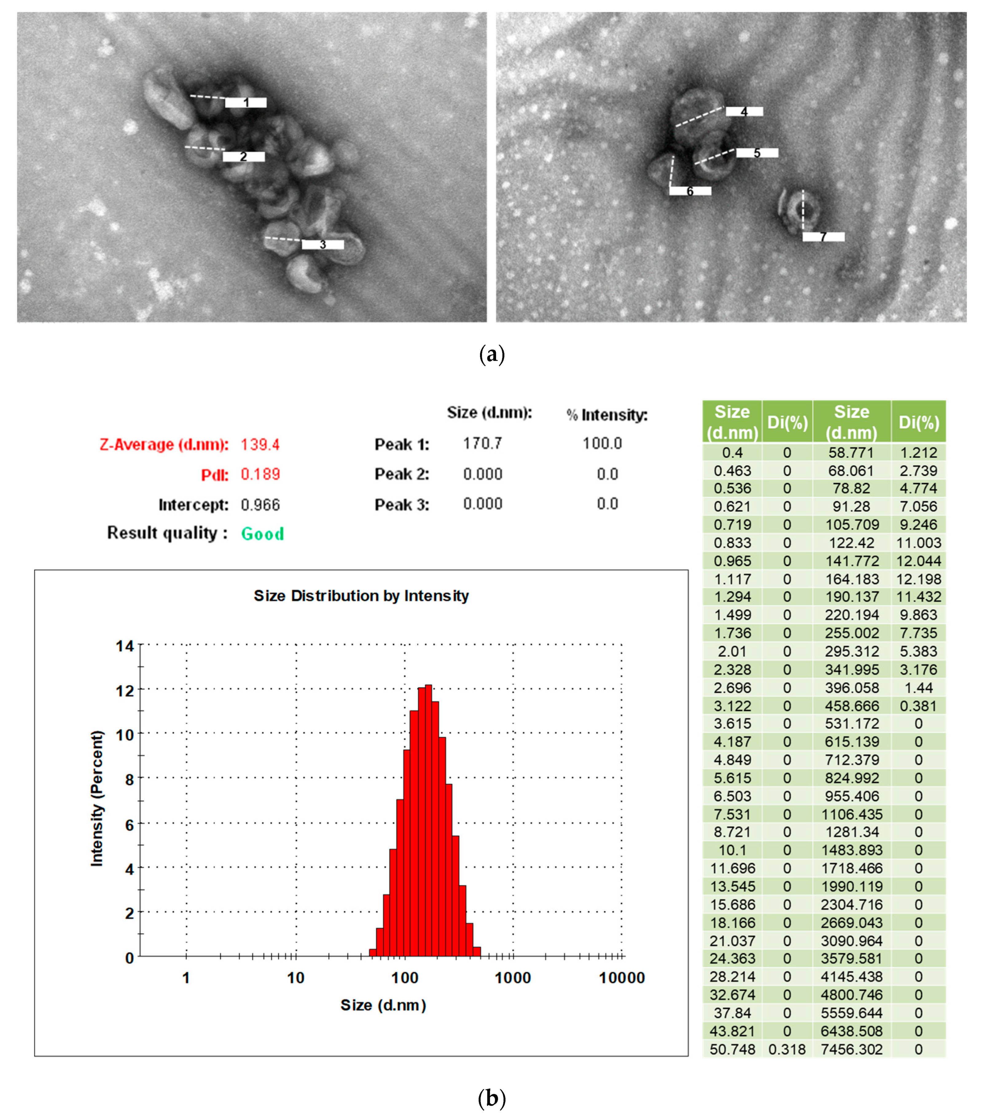 Cells 09 01867 g001 Cells 09 01867 g001