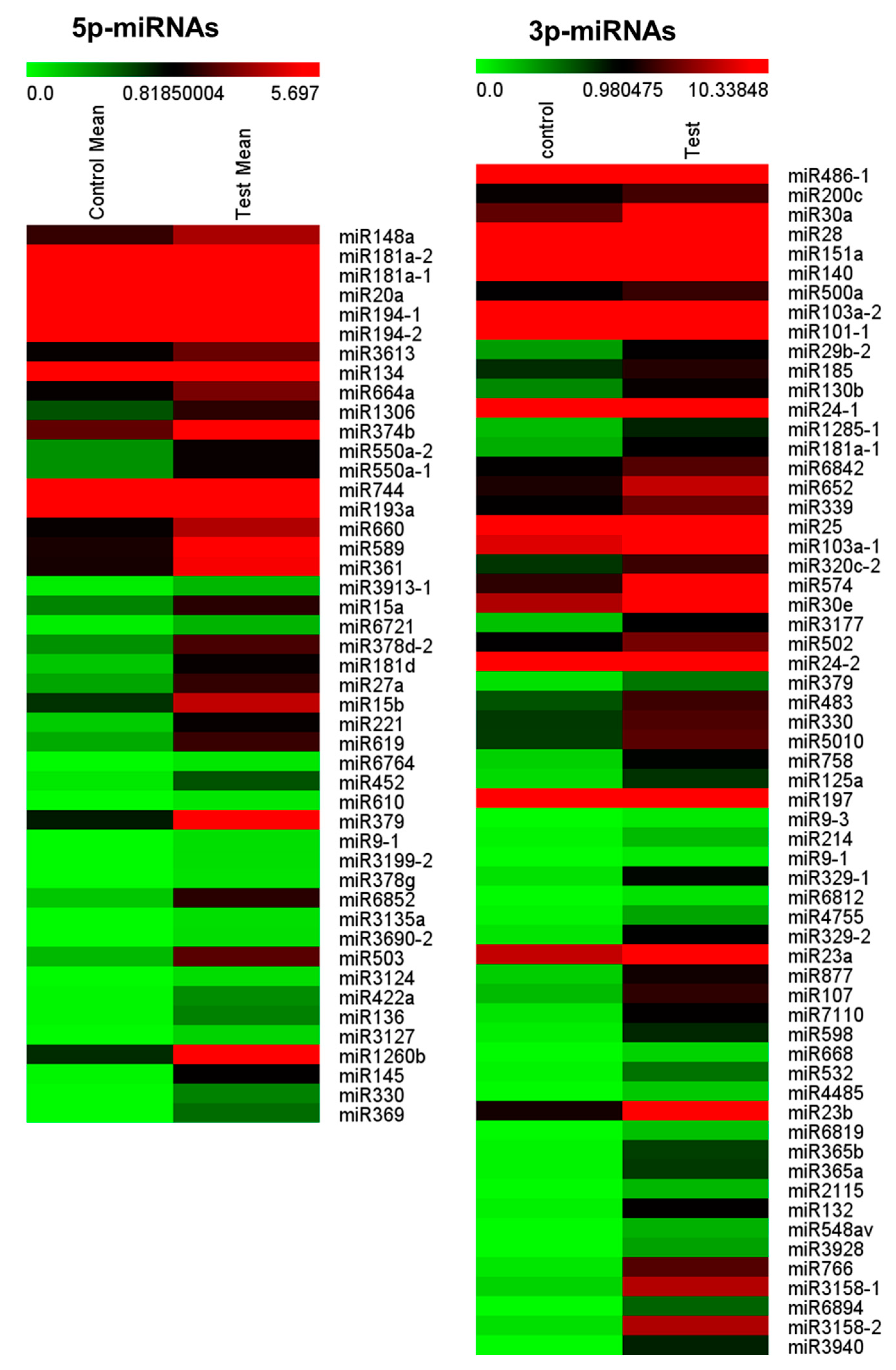 Cells 09 01867 g004 Cells 09 01867 g004