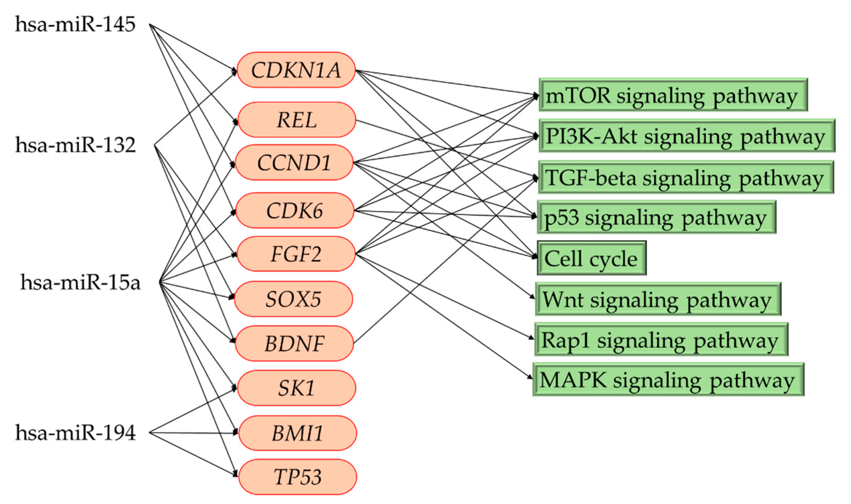 Cells 09 01867 g005 Cells 09 01867 g005