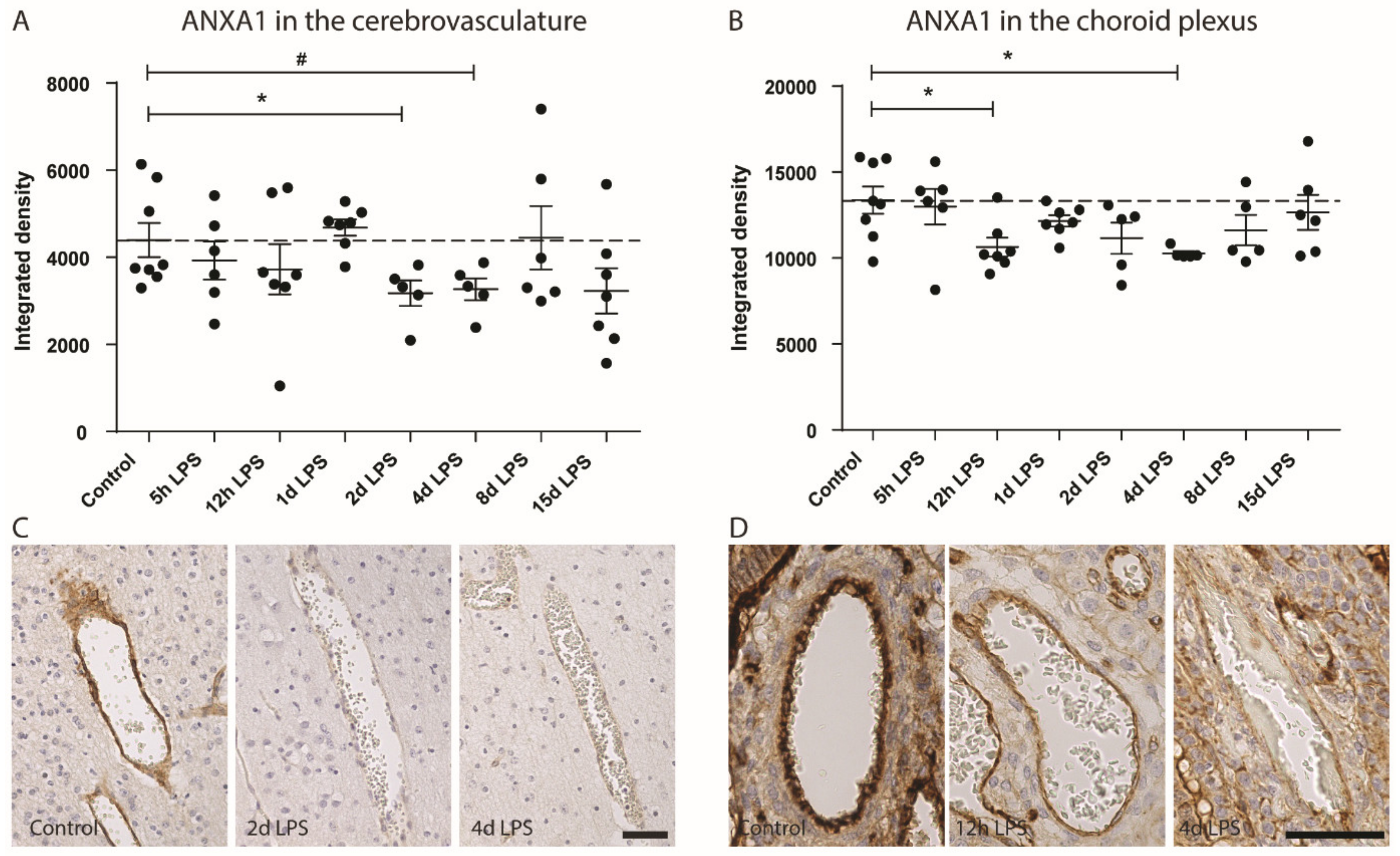 Cells 09 01871 g001 Cells 09 01871 g001