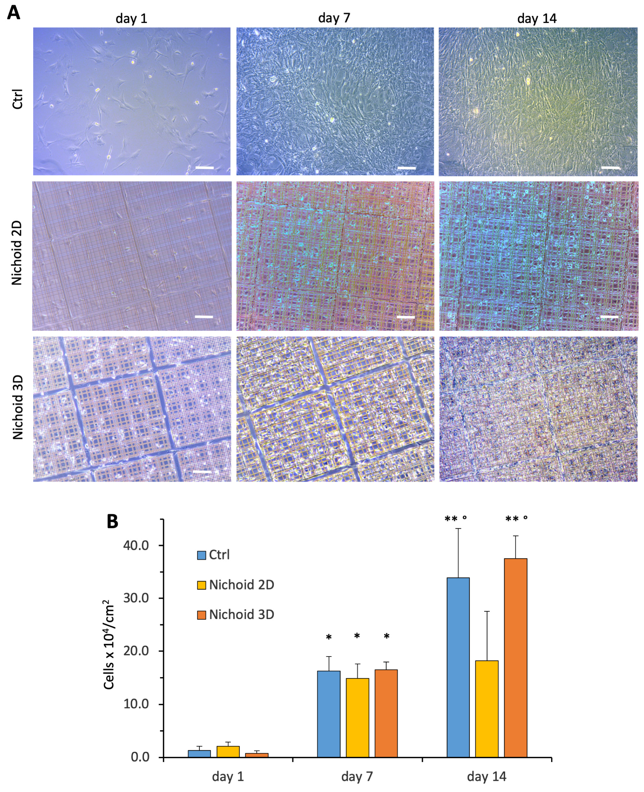 Cells 09 01873 g003 Cells 09 01873 g003