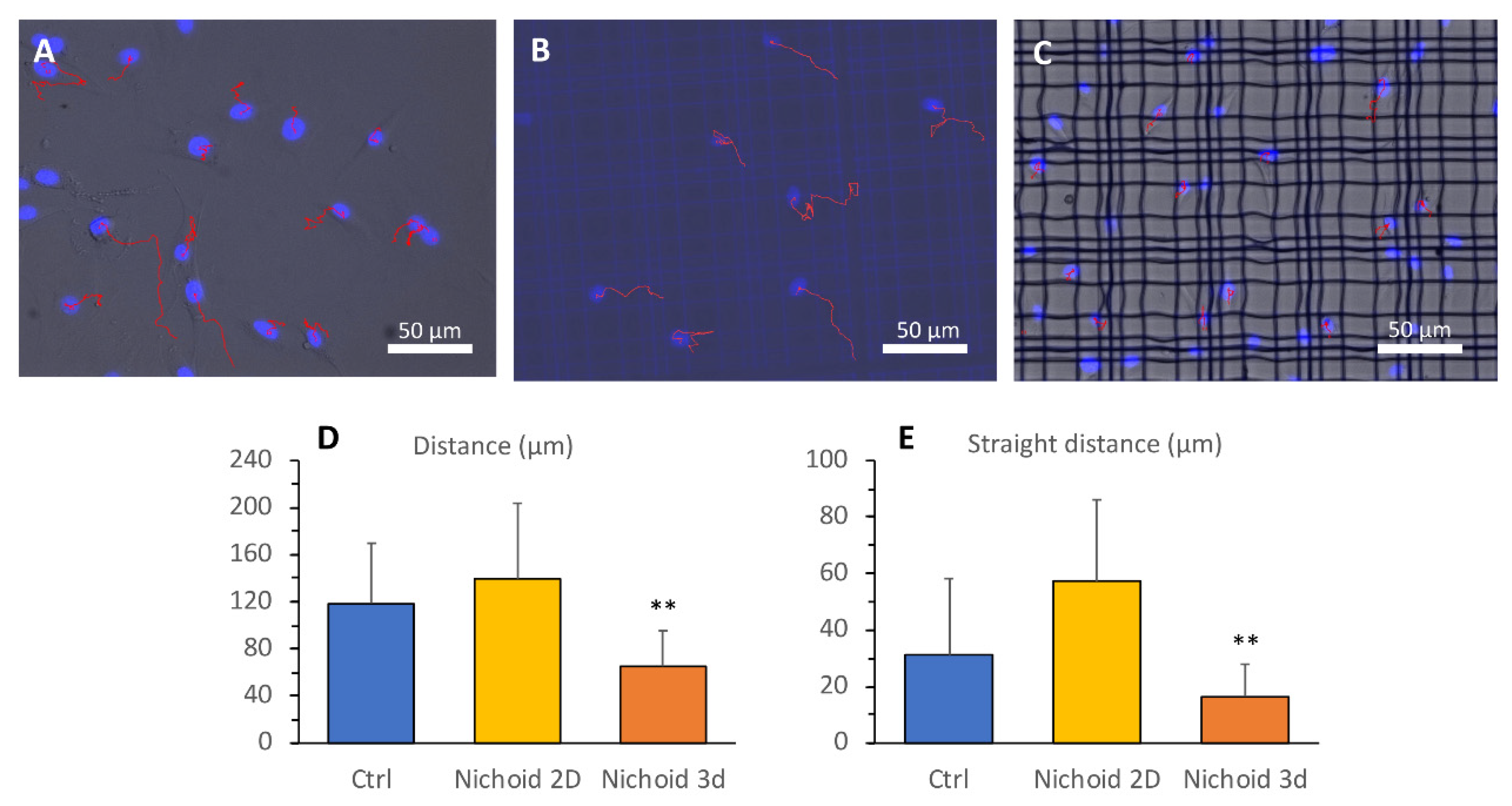 Cells 09 01873 g005 Cells 09 01873 g005