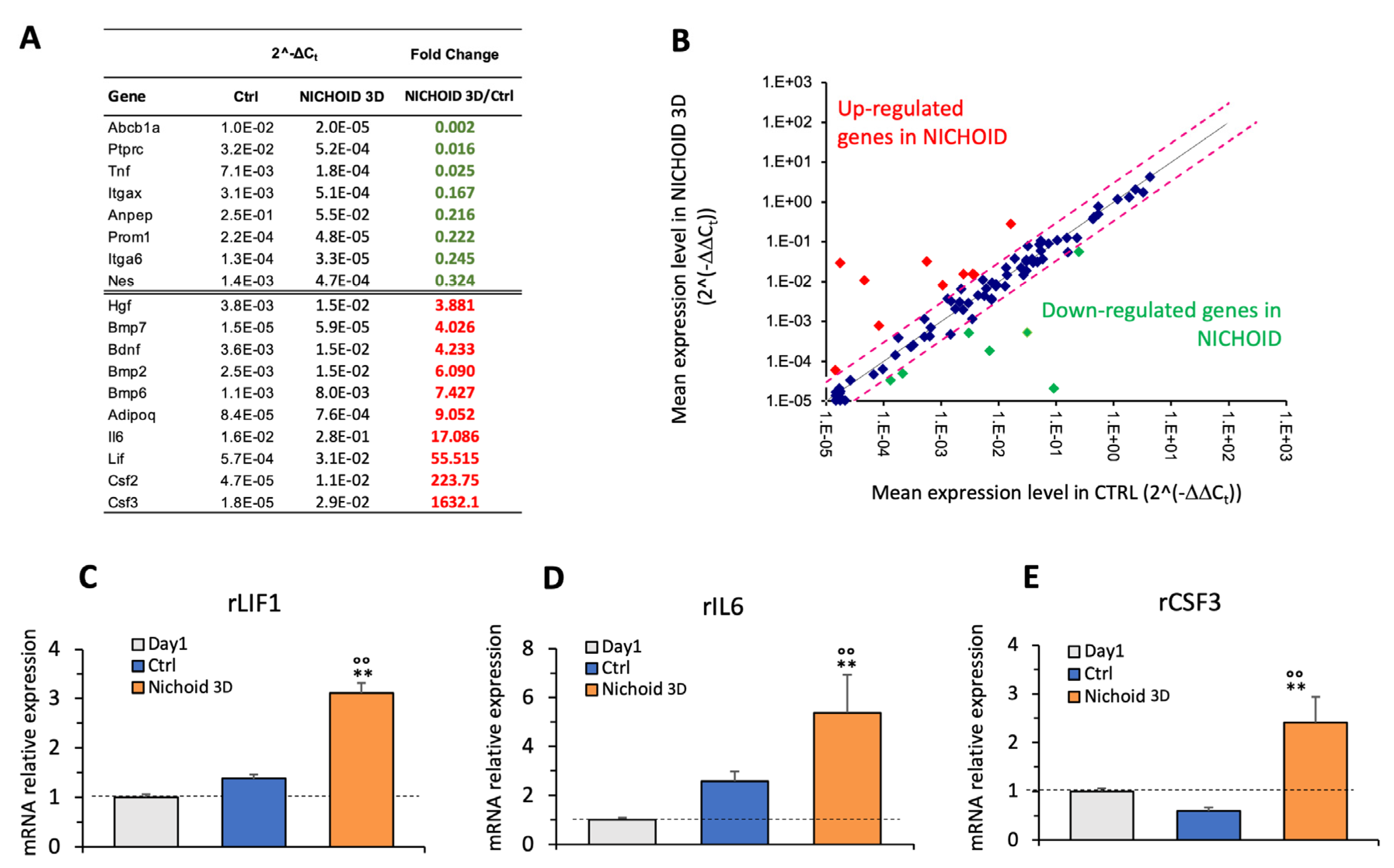 Cells 09 01873 g006 Cells 09 01873 g006