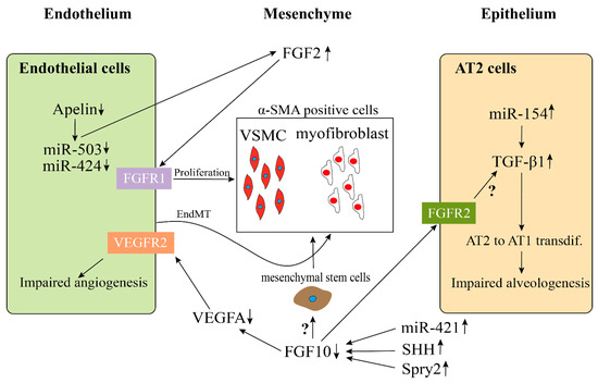 Cells 09 01875 g002 550