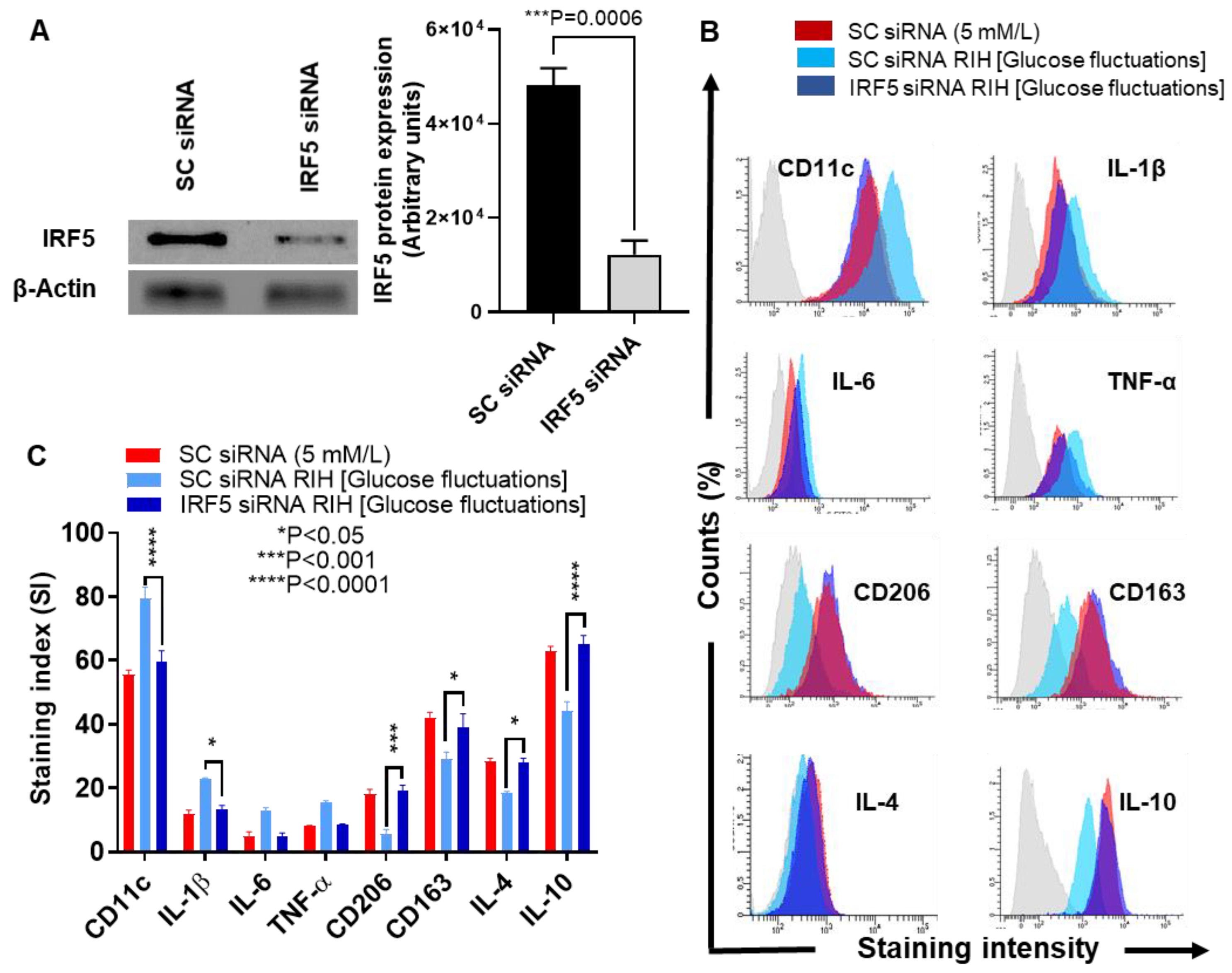 Cells 09 01892 g003a