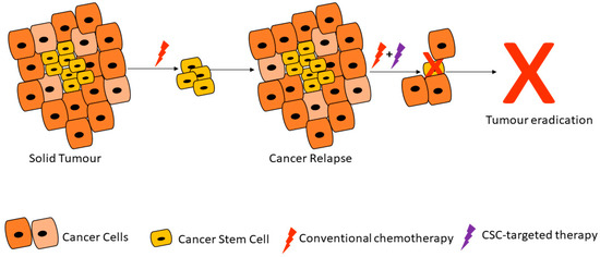 Cells 09 01896 g001 550