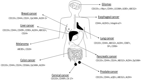 Cells 09 01896 g002 550