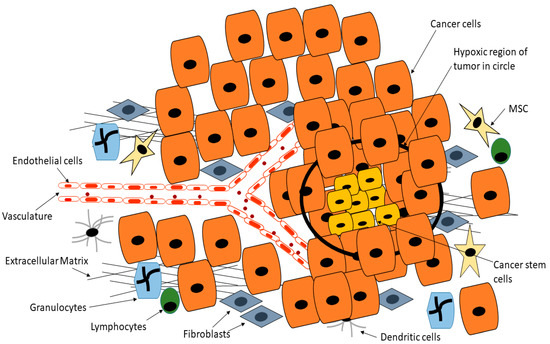 Cells 09 01896 g004 550