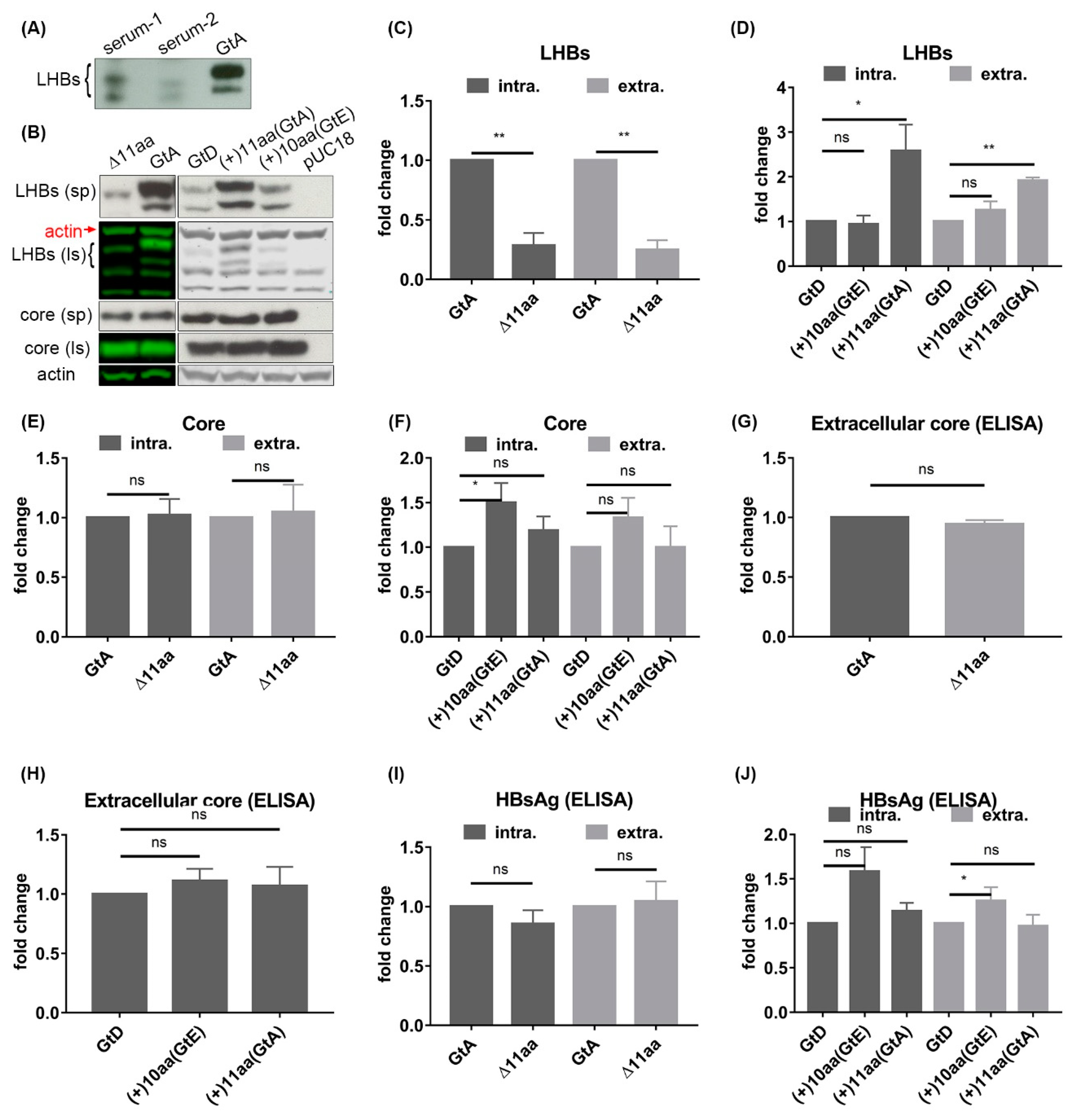 Cells 09 01898 g002 Cells 09 01898 g002