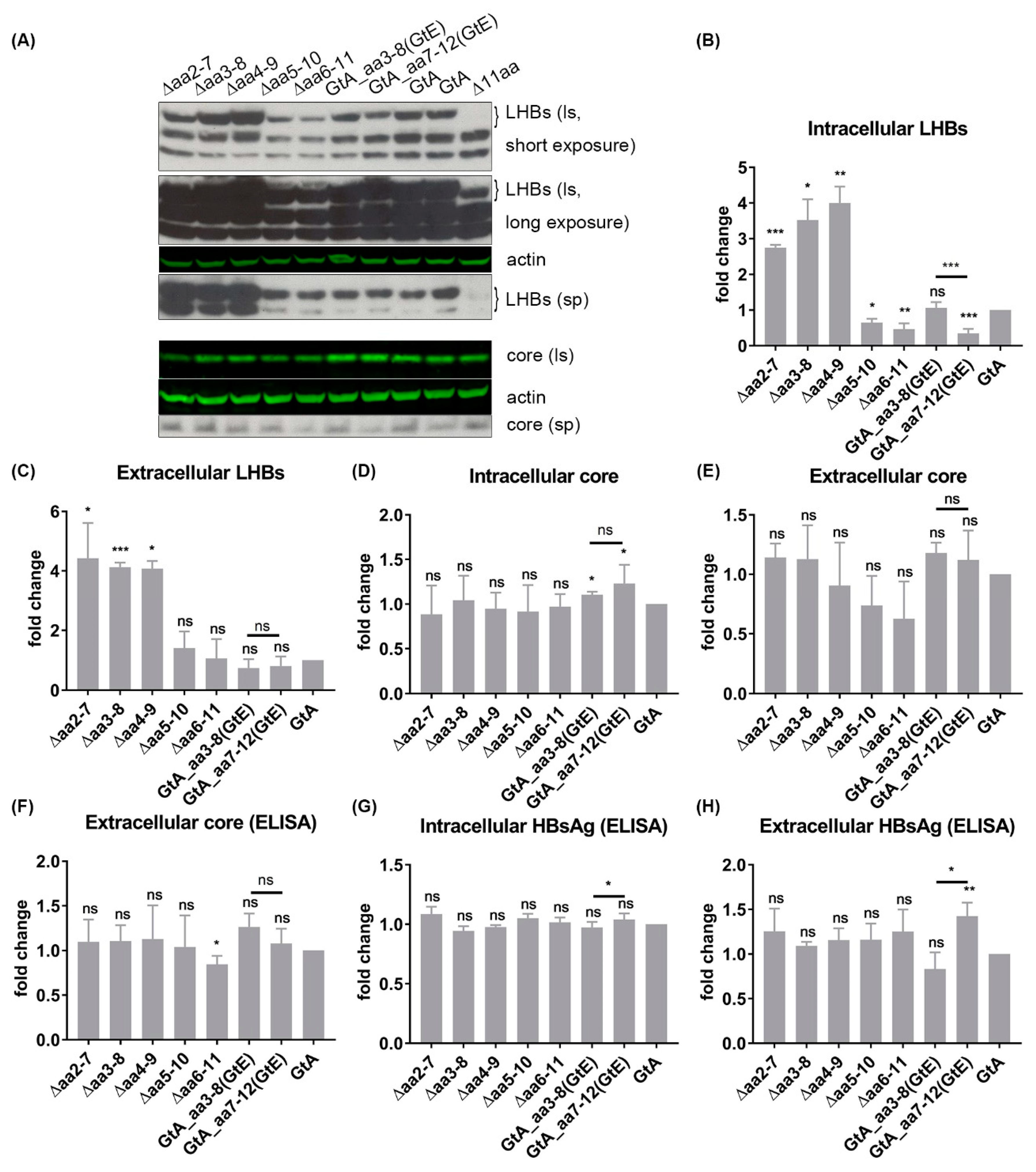 Cells 09 01898 g006 Cells 09 01898 g006