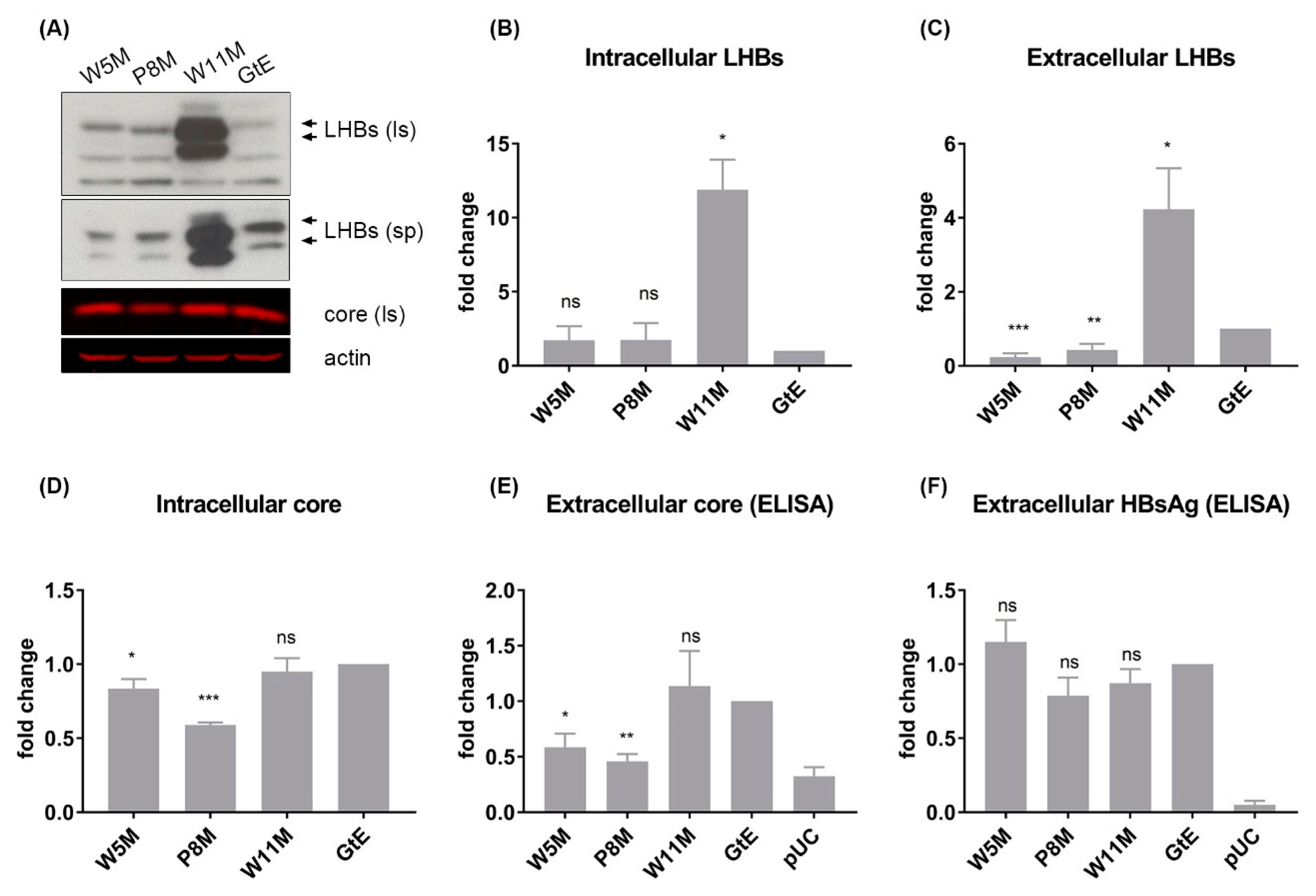 Cells 09 01898 g008 Cells 09 01898 g008