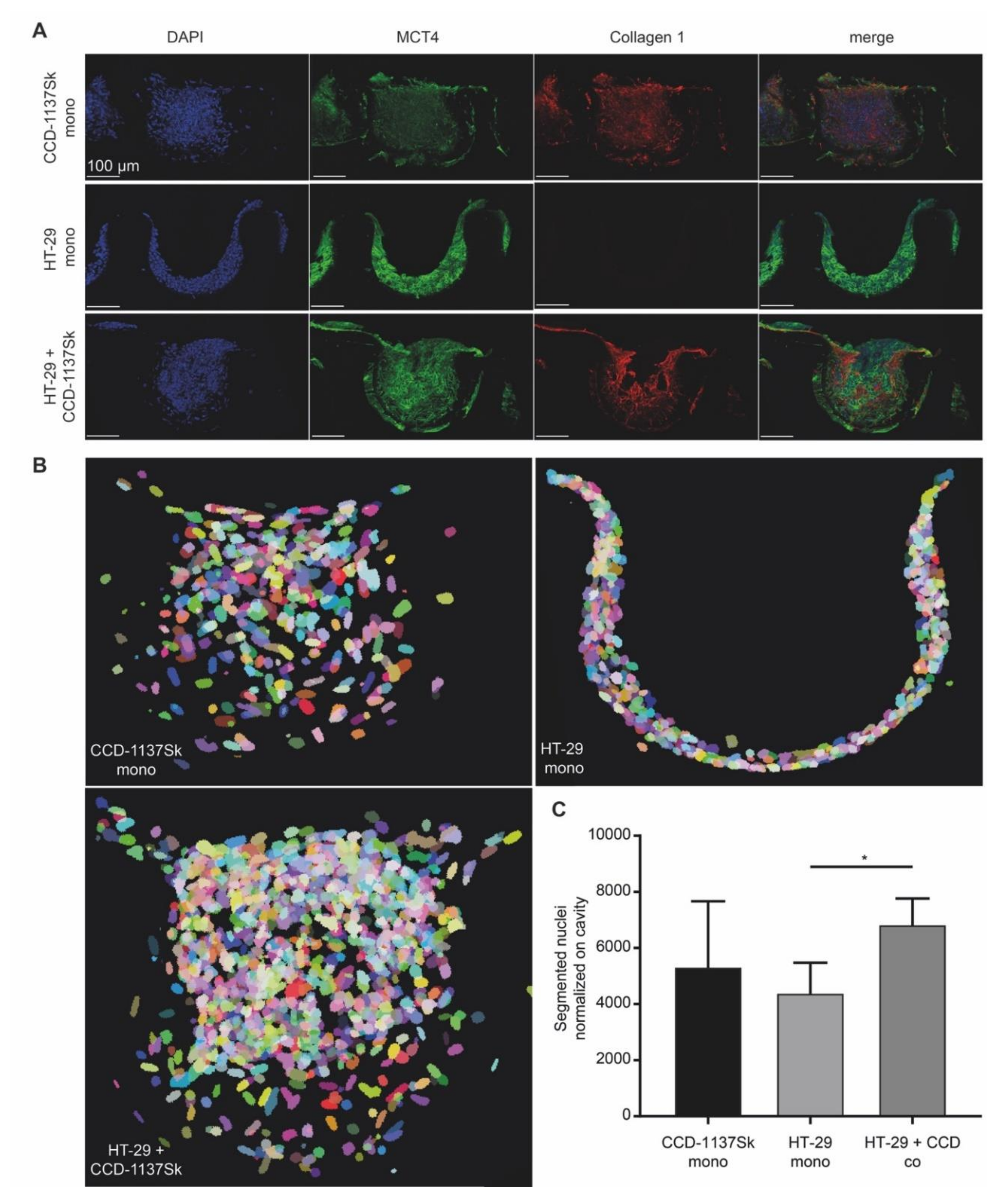 Cells 09 01900 g005 Cells 09 01900 g005