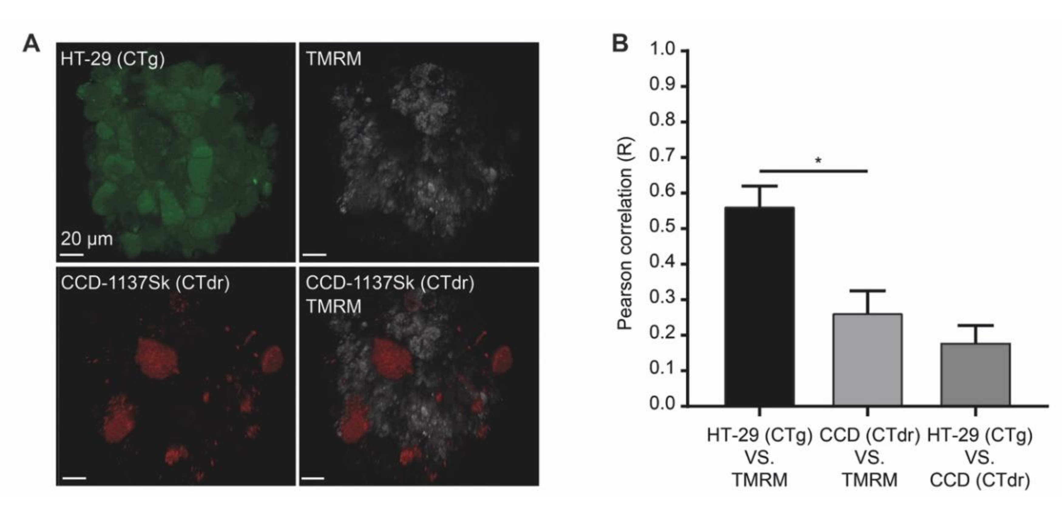 Cells 09 01900 g009 Cells 09 01900 g009