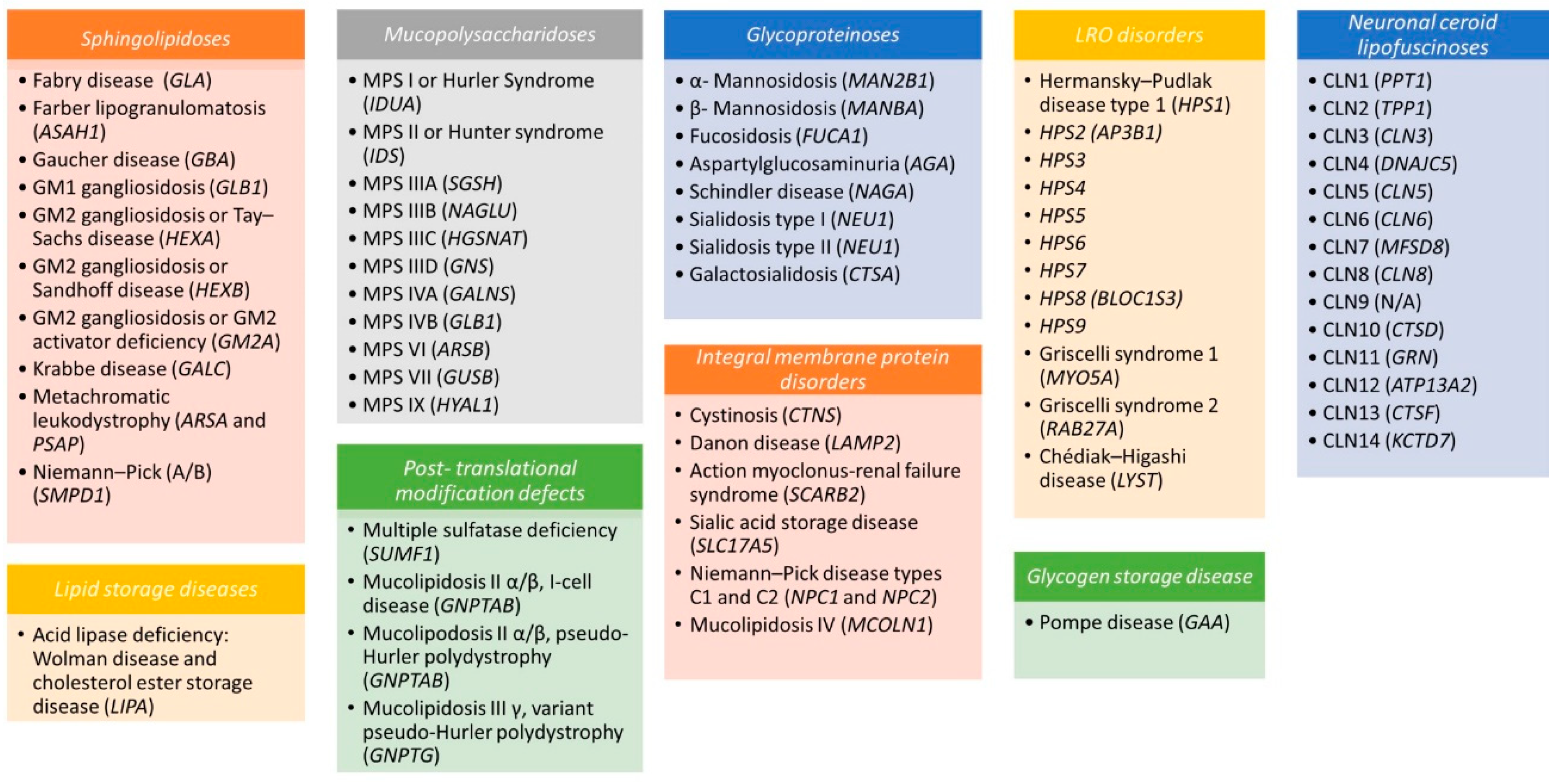 Diagnostic and predictive methods for a Niemann-Pick disease type