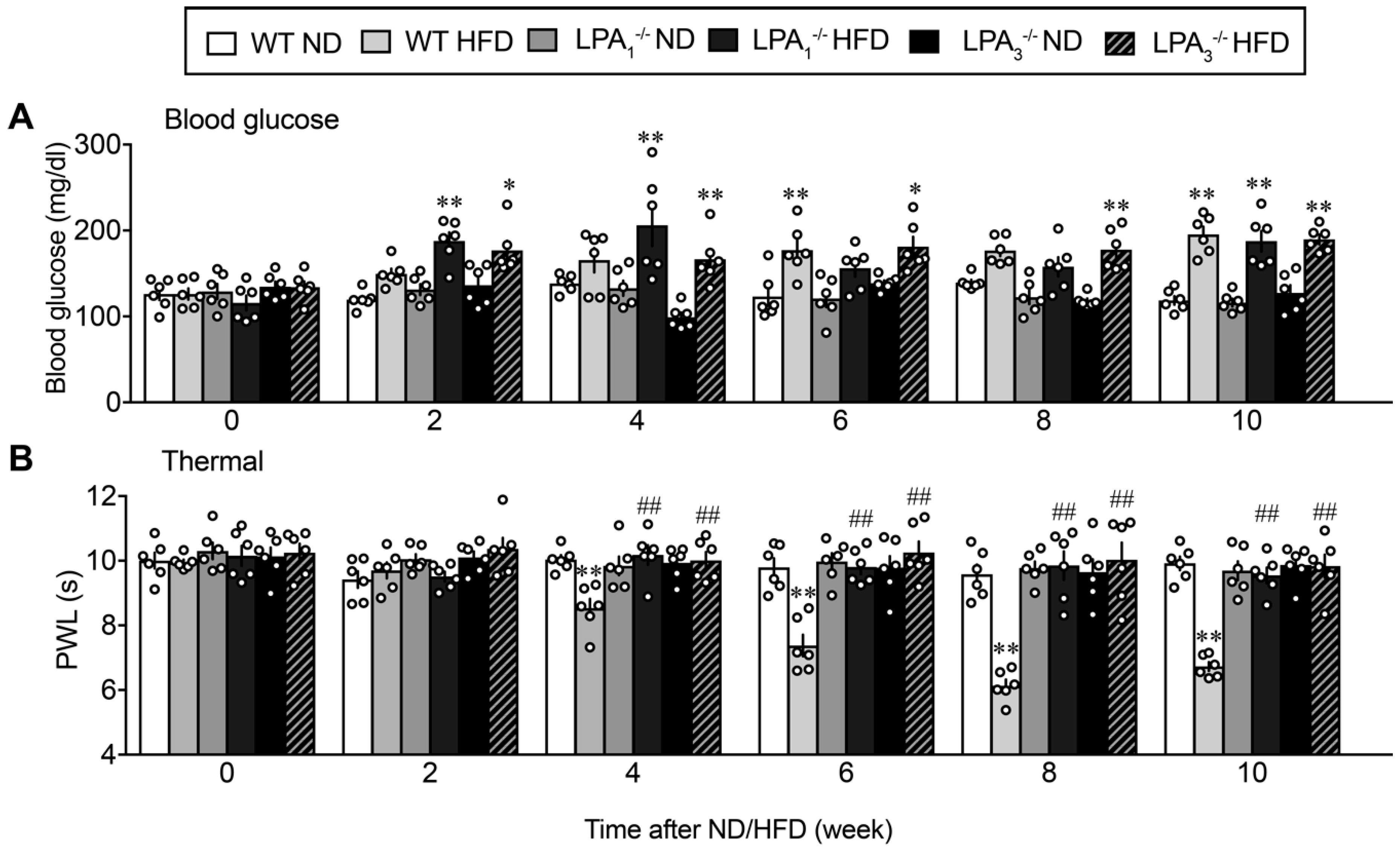 Cells 09 01906 g002 Cells 09 01906 g002
