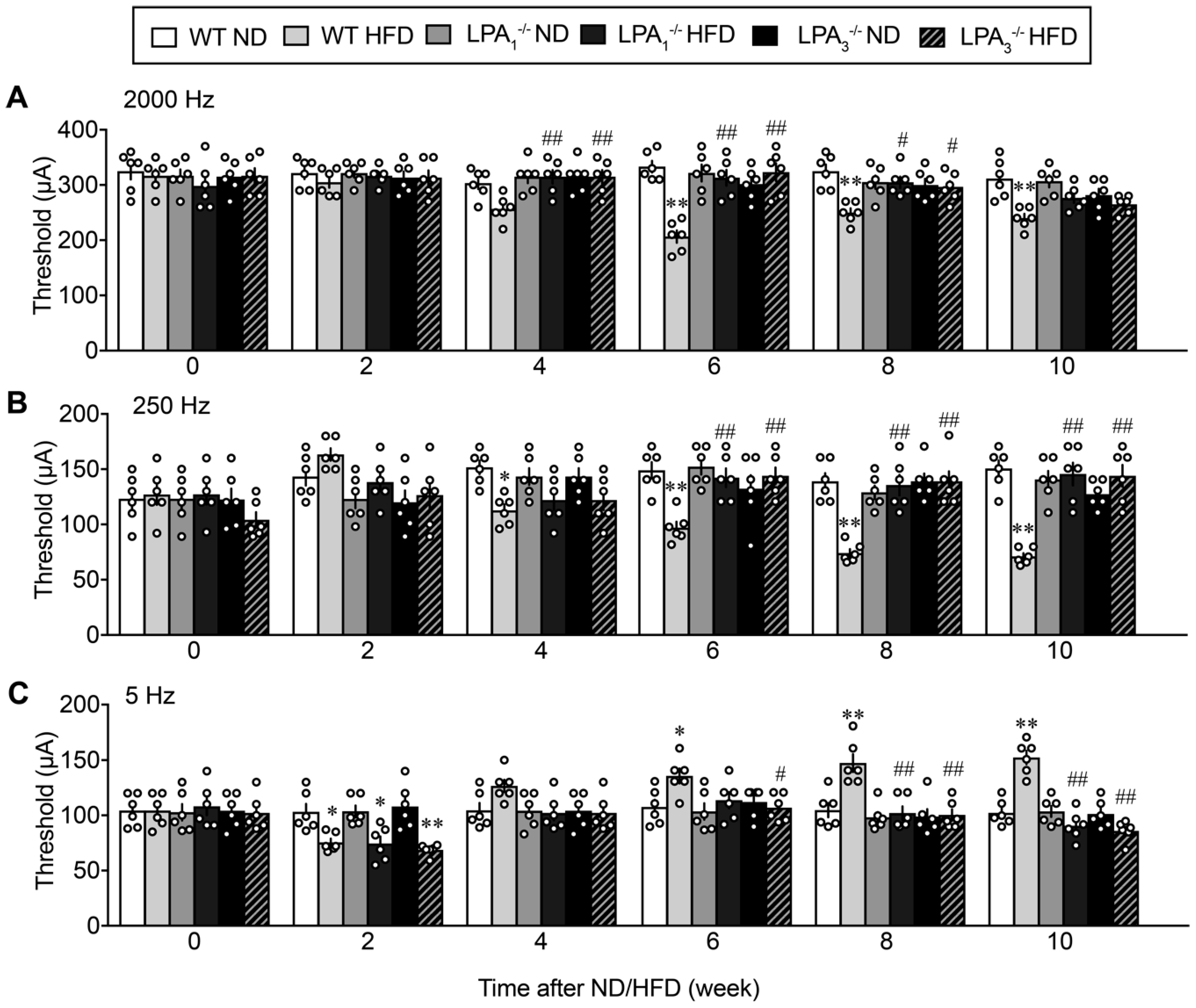 Cells 09 01906 g003 Cells 09 01906 g003