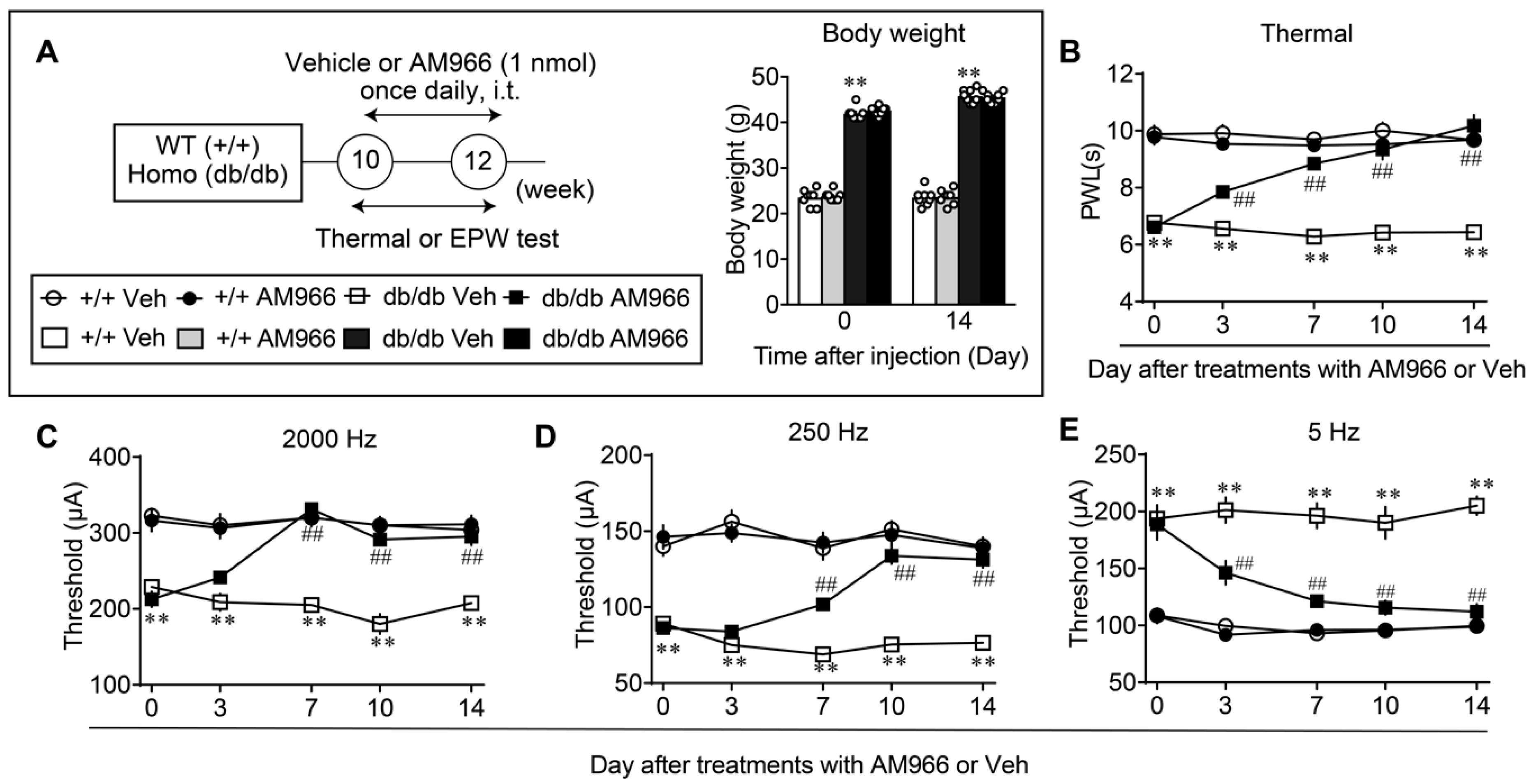 Cells 09 01906 g006 Cells 09 01906 g006